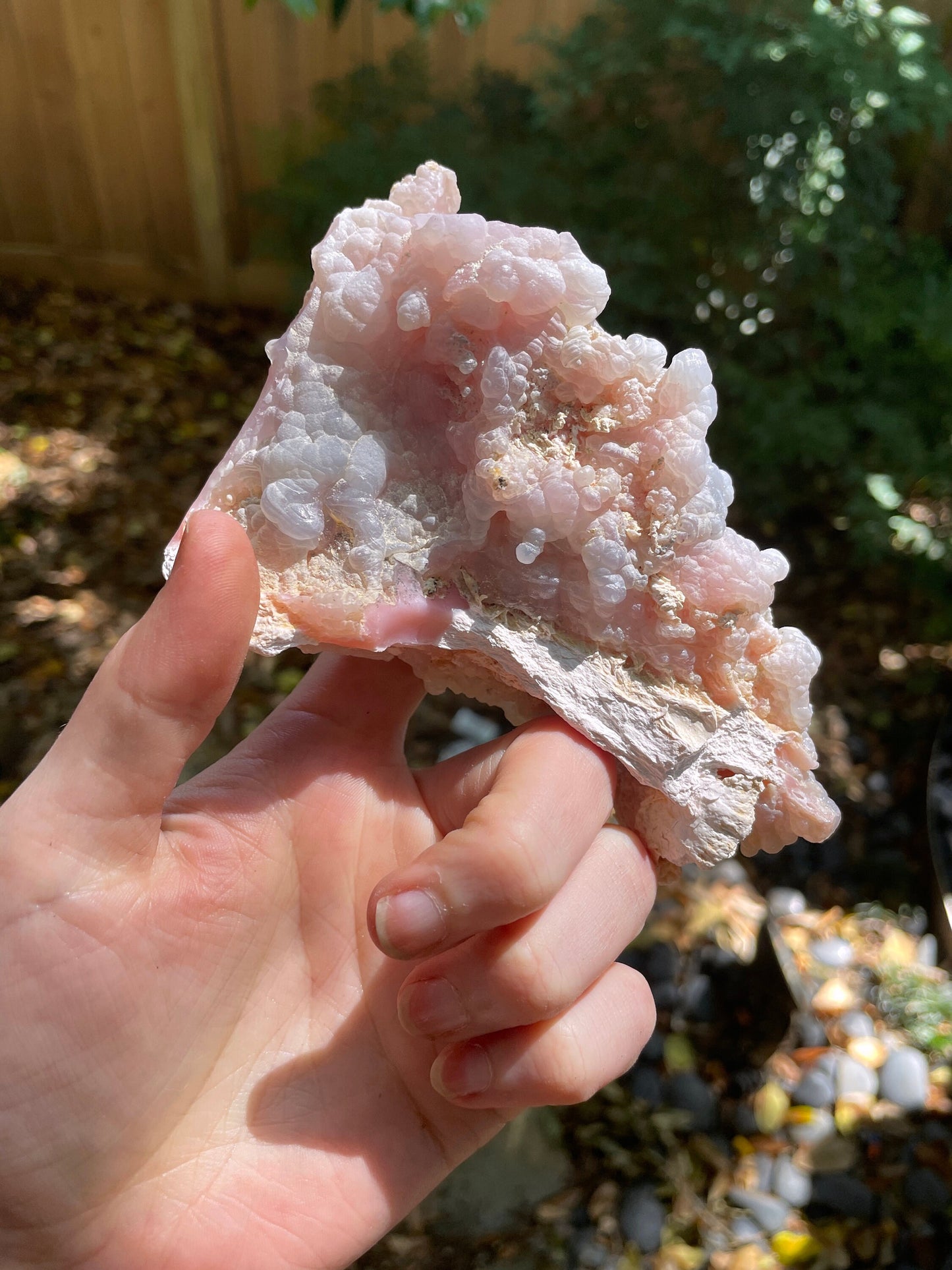 Beautiful Botryoidal Natural Pink Opal from Ica, Peru Specimen 230g Mineral Crystal