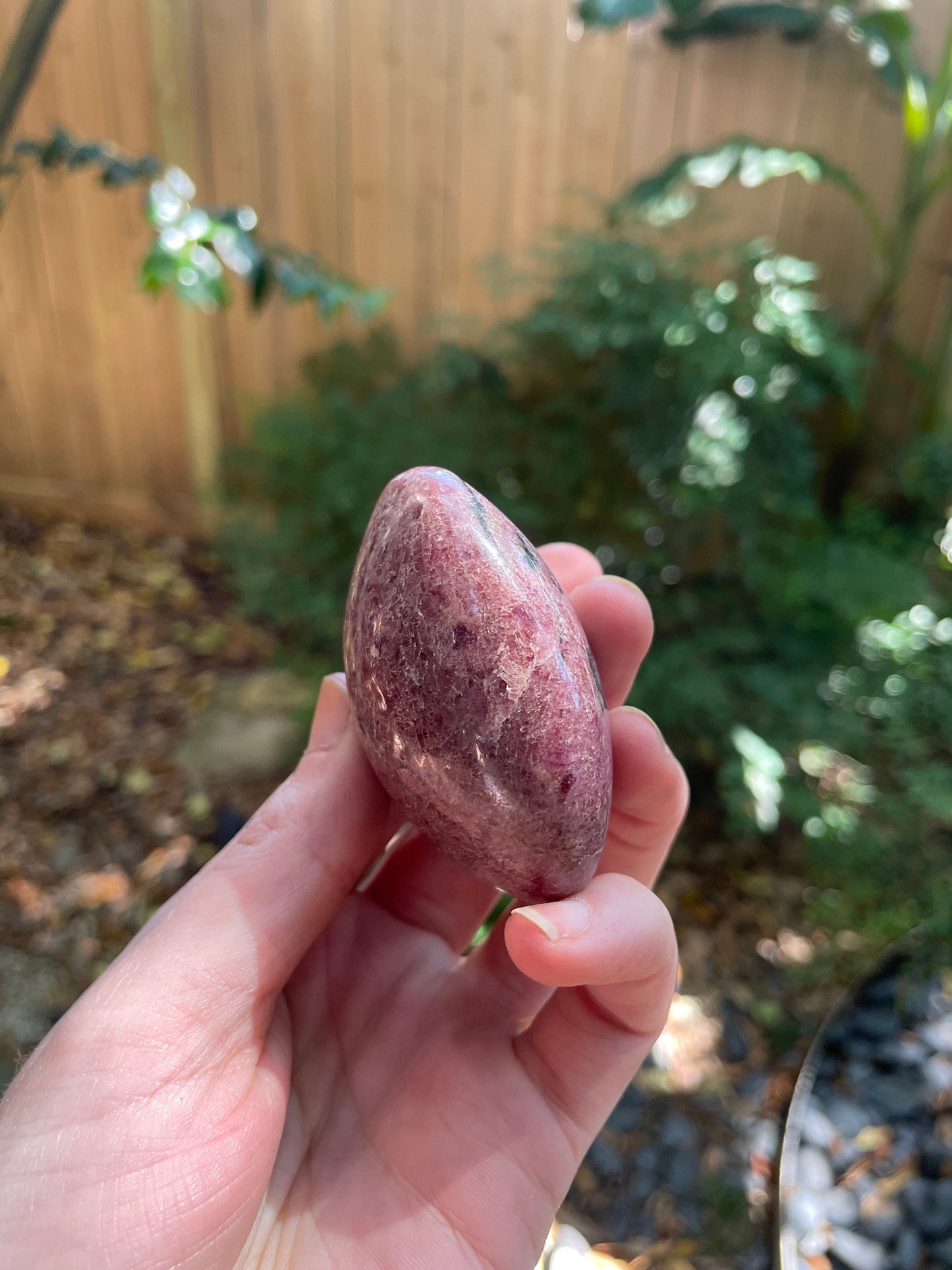 Beautiful Polished Palm Stone Rhodonite Specimen 160.8g From Madagascar Mineral Crystal
