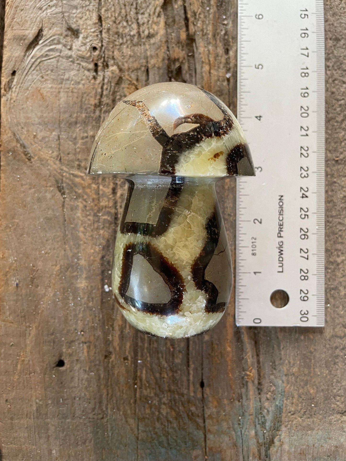 Septarian Calcite Polished Mushroom Stone Madagascar 472g 1lb 0.7oz Specimen Mineral Crystal