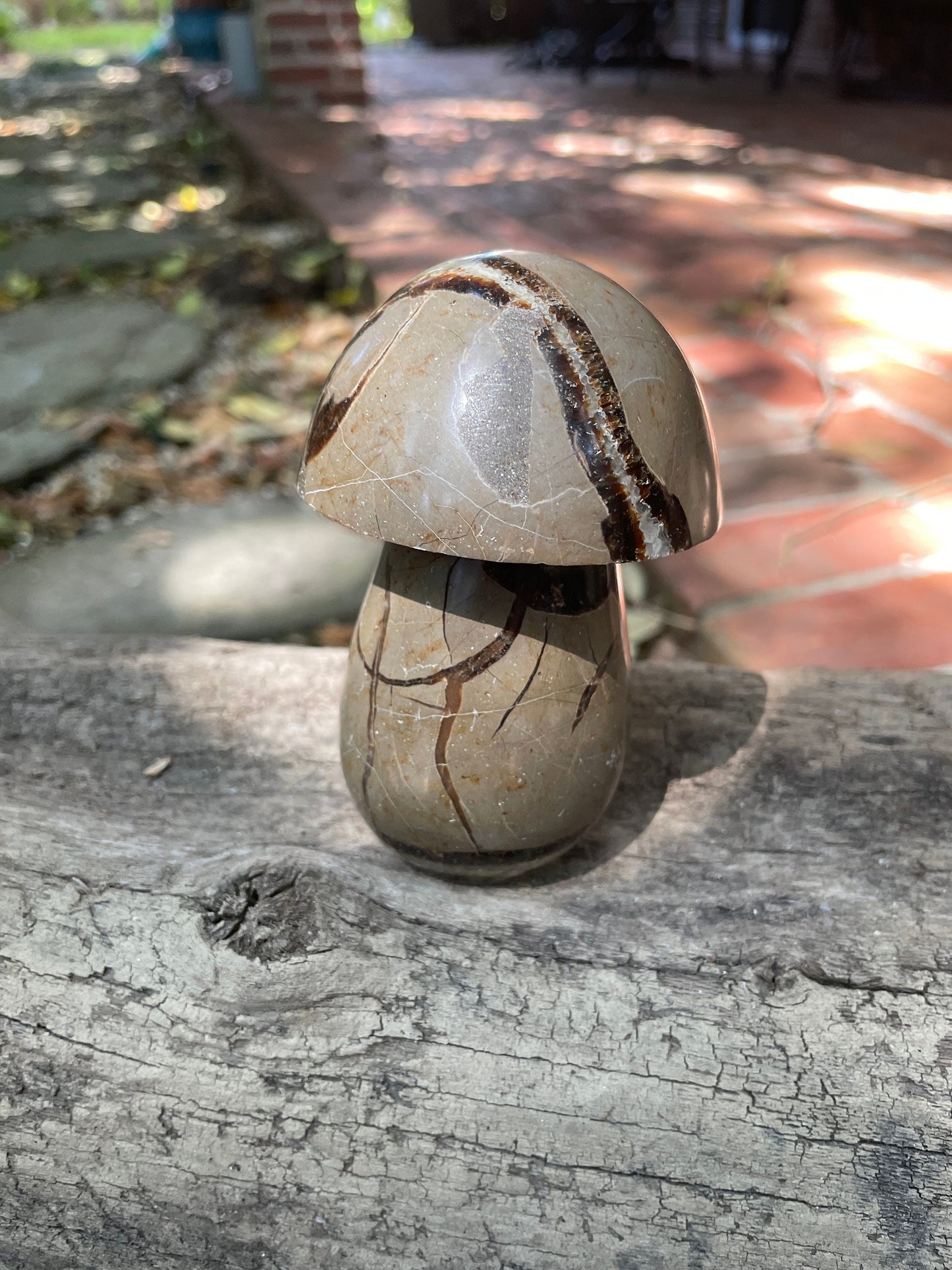 Septarian Calcite Polished Mushroom Stone Madagascar 472g 1lb 0.7oz Specimen Mineral Crystal