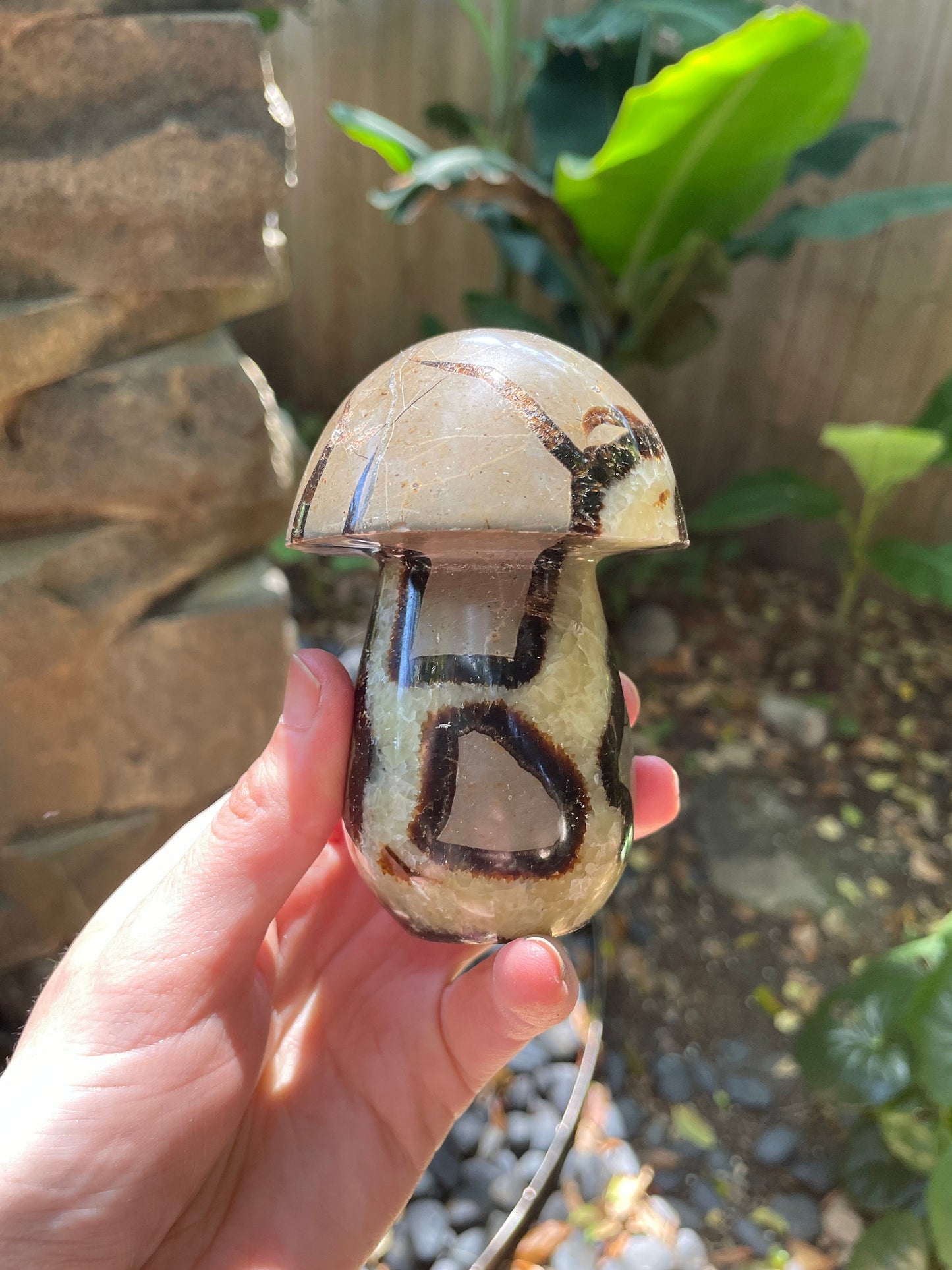 Septarian Calcite Polished Mushroom Stone Madagascar 472g 1lb 0.7oz Specimen Mineral Crystal