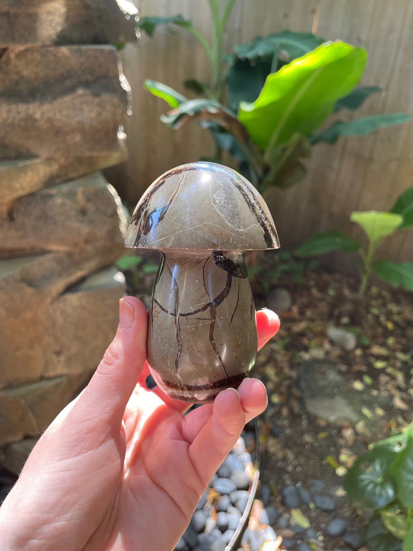 Septarian Calcite Polished Mushroom Stone Madagascar 472g 1lb 0.7oz Specimen Mineral Crystal