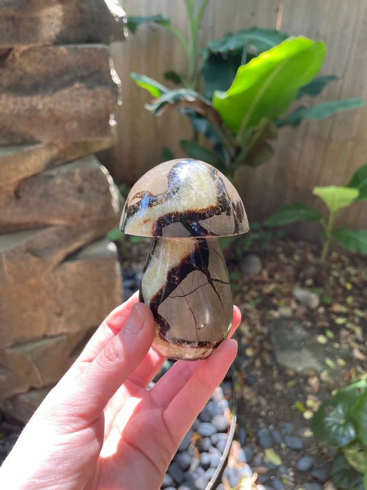 Septarian Calcite Polished Mushroom Stone Madagascar 472g 1lb 0.7oz Specimen Mineral Crystal