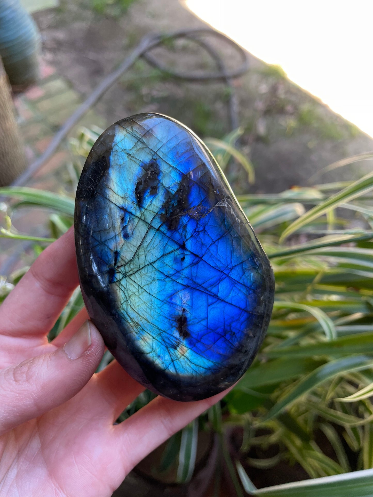 Lovely Polished Labradorite Palm Stone 288g Great Flash From Madagascar Mineral Crystal