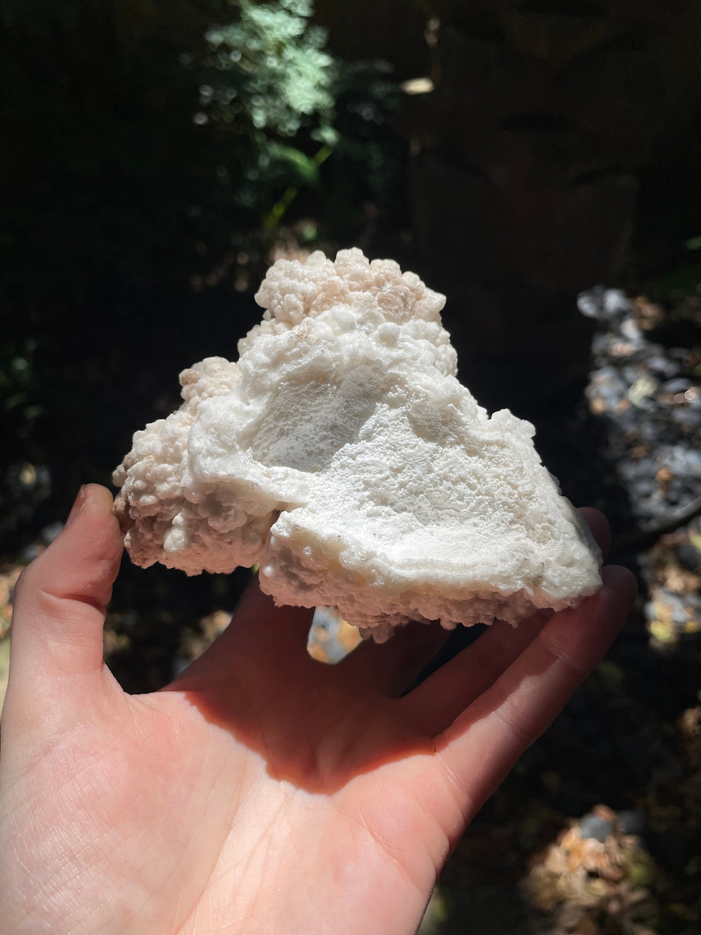 Aragonite Cave Calcite From Mina Potosi Chihuahua, Mexico 418g 14.7oz Specimen Mineral Crystal