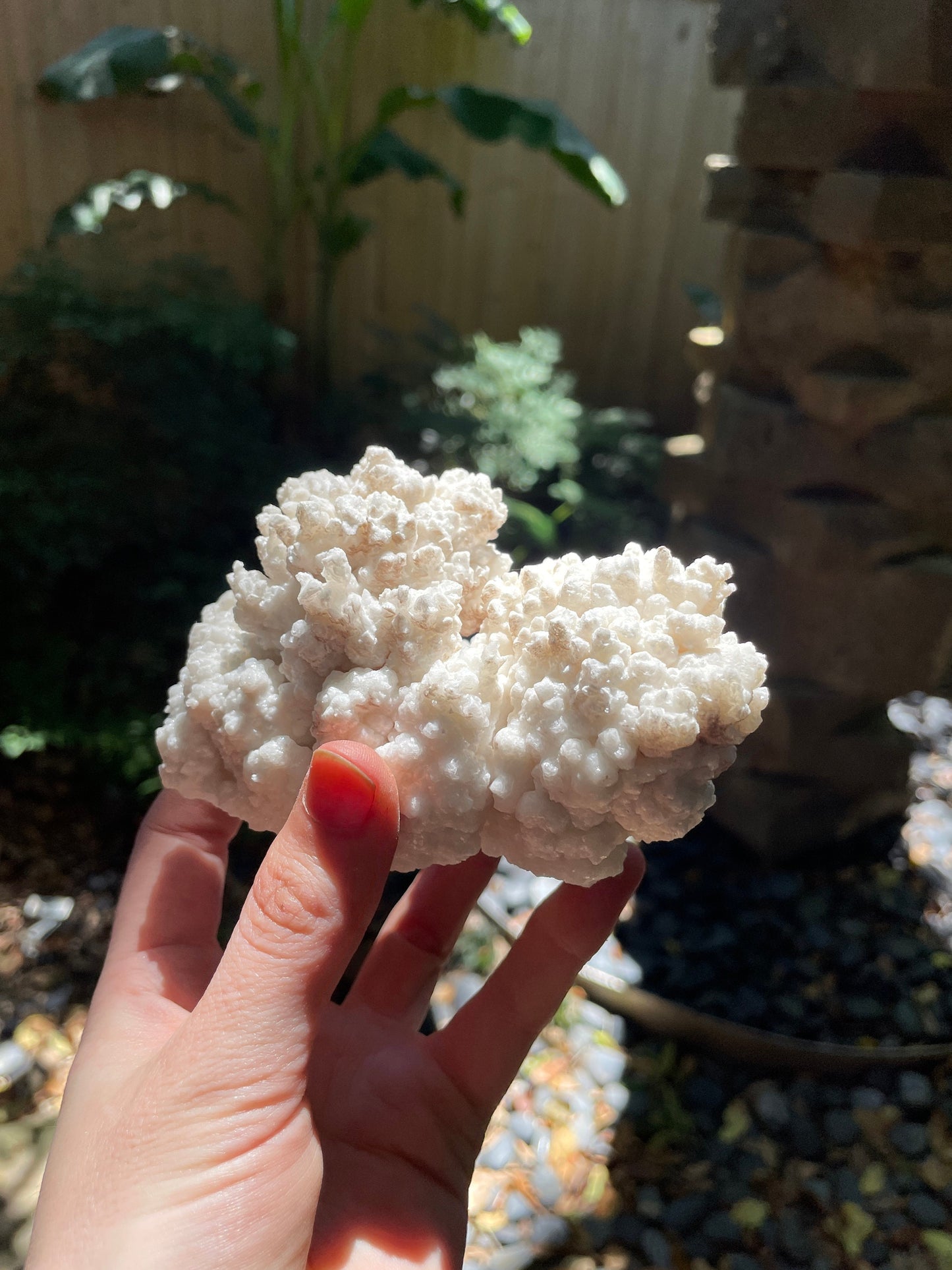 Aragonite Cave Calcite From Mina Potosi Chihuahua, Mexico 418g 14.7oz Specimen Mineral Crystal