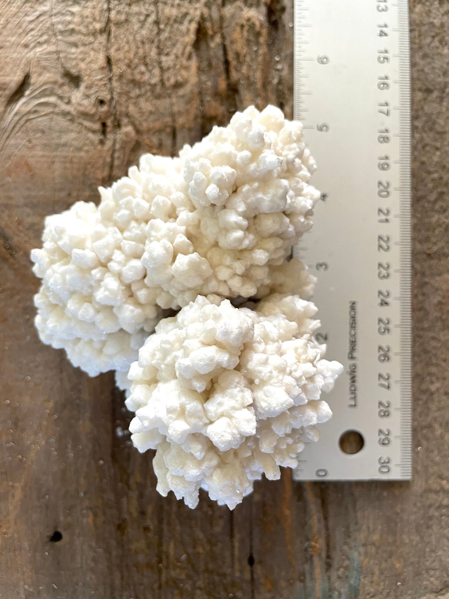 Aragonite Cave Calcite From Mina Potosi Chihuahua, Mexico 418g 14.7oz Specimen Mineral Crystal