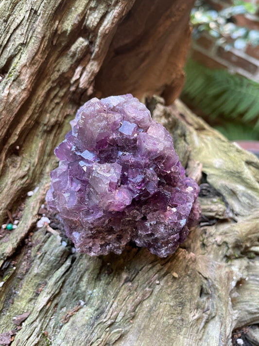Deep Purple Cubic Fluorite Specimen from Mina Esperanza, Mexico 346g Mineral Crystal