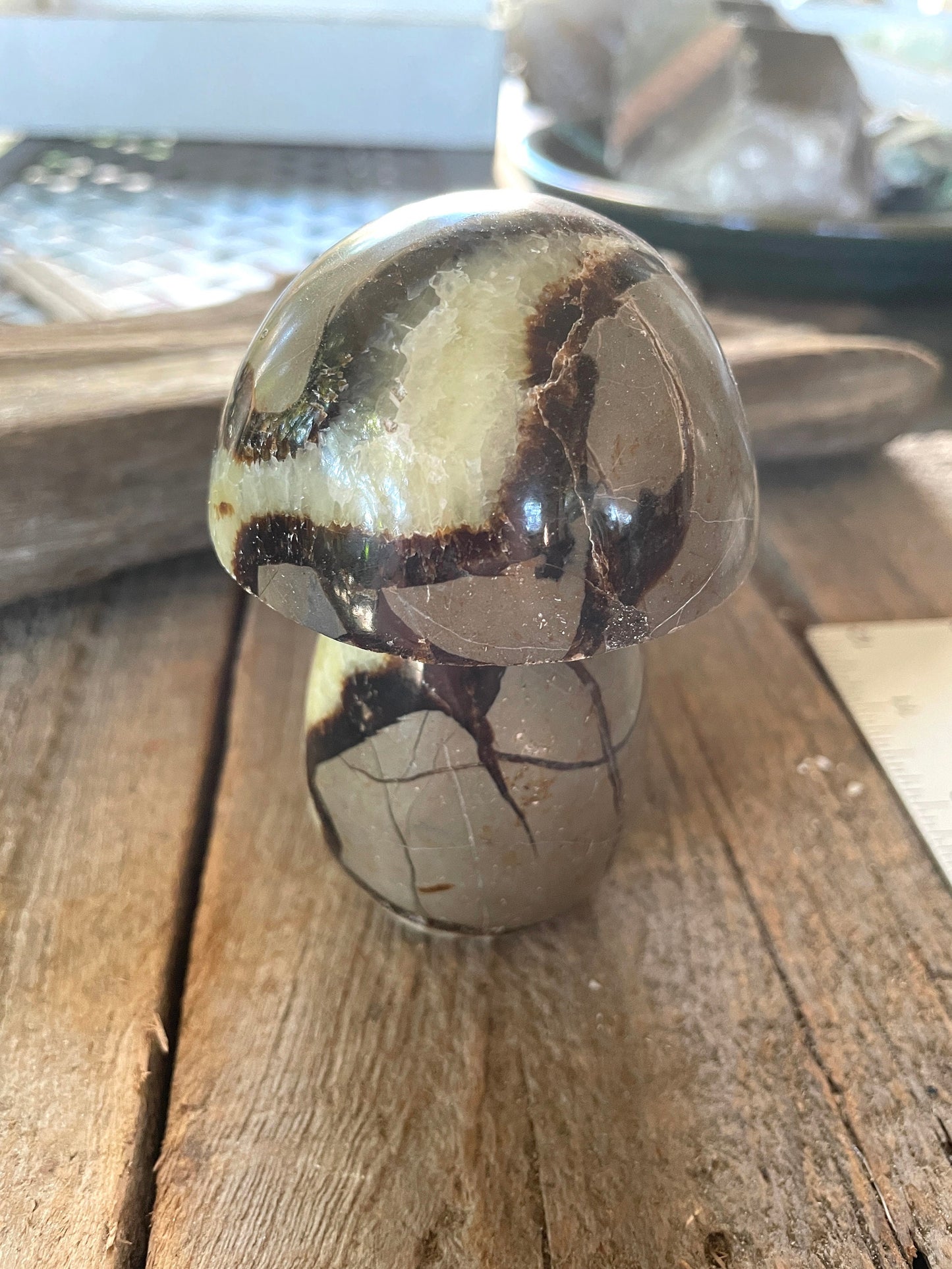 Septarian Calcite Polished Mushroom Stone Madagascar 472g 1lb 0.7oz Specimen Mineral Crystal
