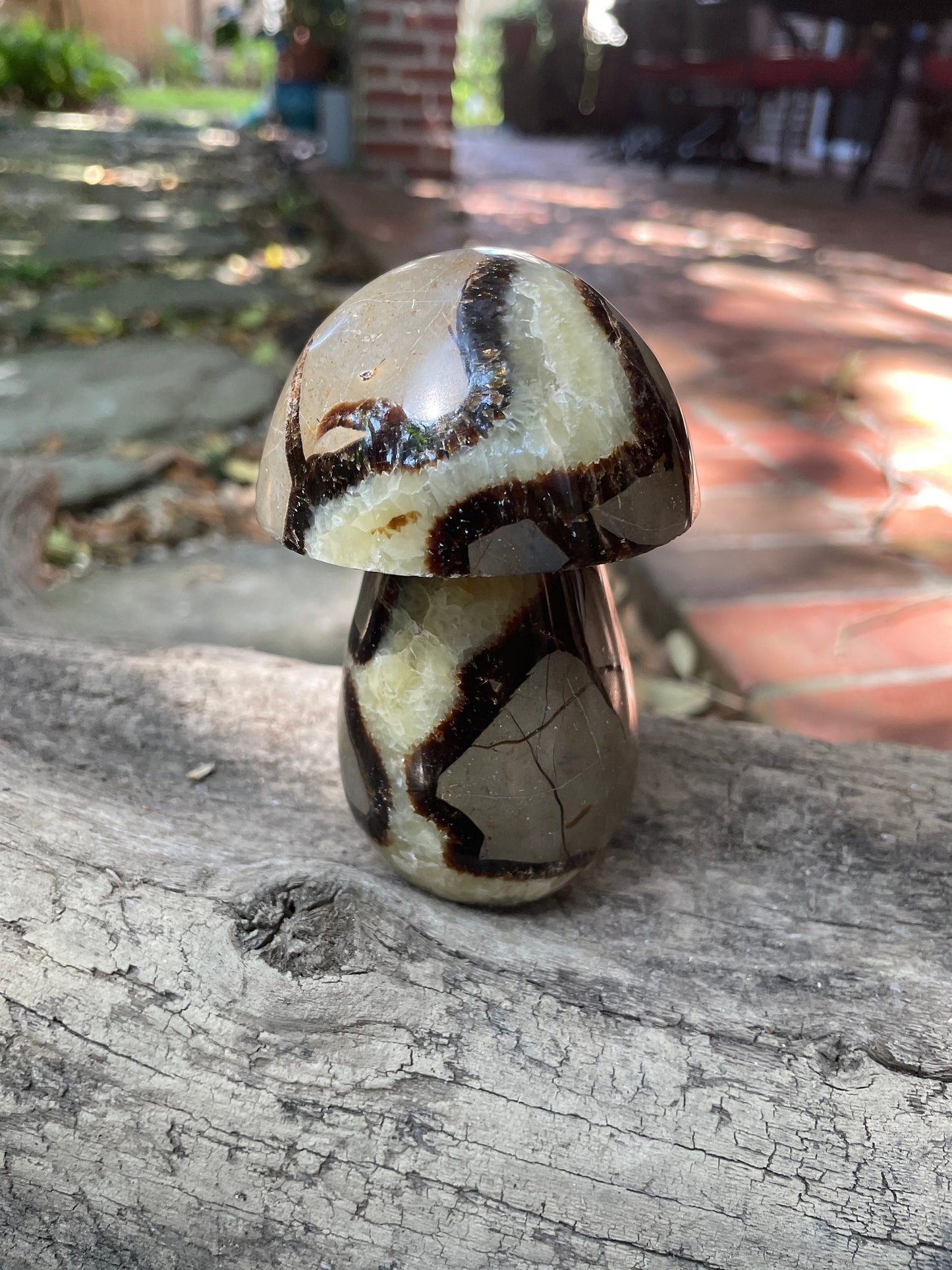 Septarian Calcite Polished Mushroom Stone Madagascar 472g 1lb 0.7oz Specimen Mineral Crystal