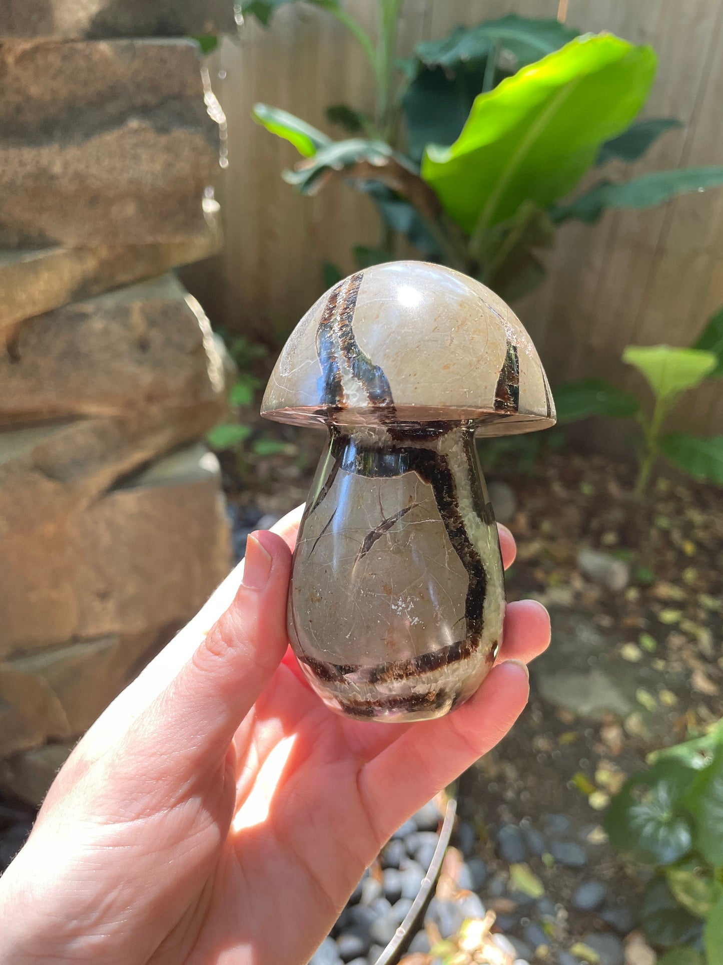 Septarian Calcite Polished Mushroom Stone Madagascar 472g 1lb 0.7oz Specimen Mineral Crystal