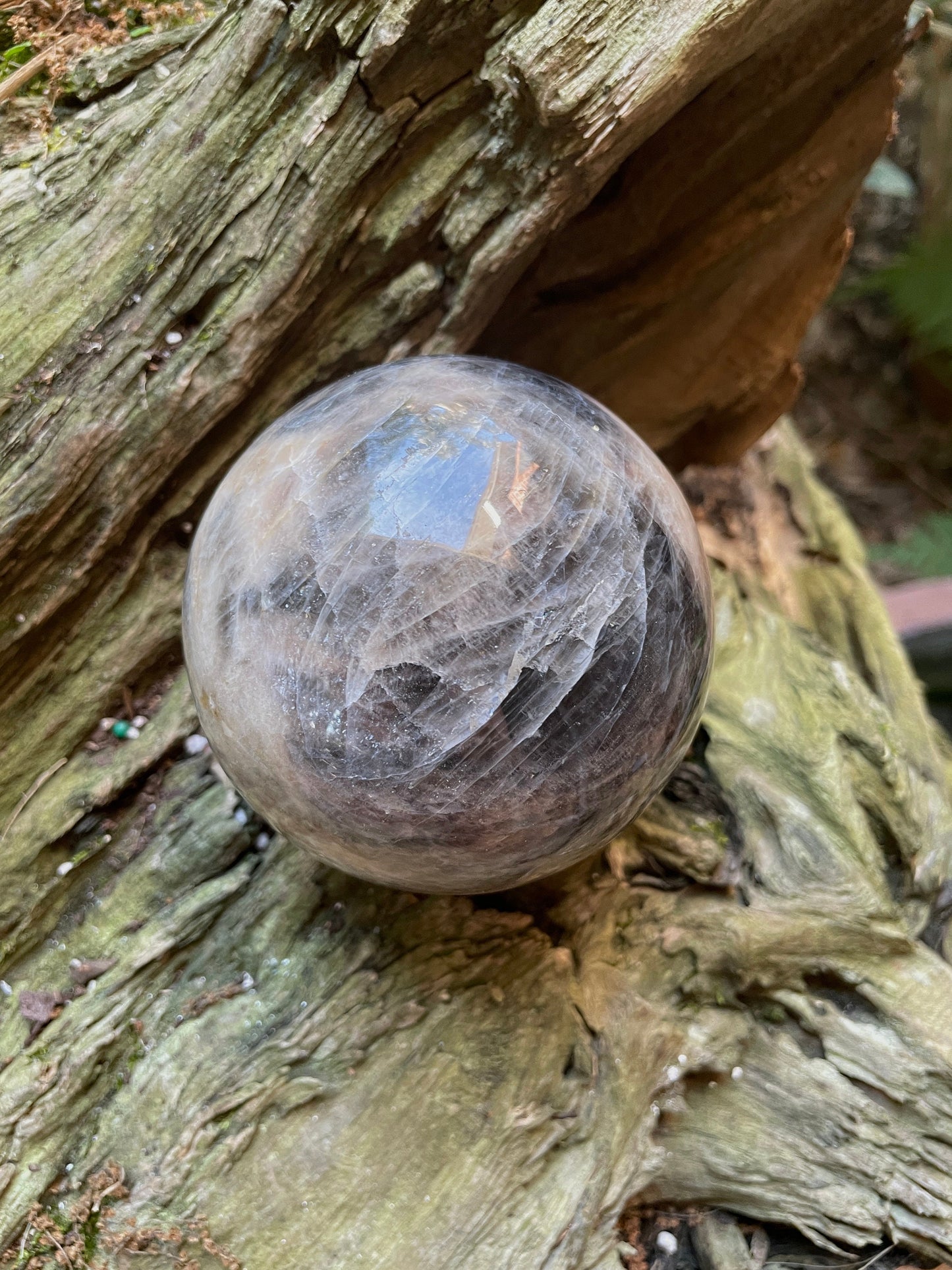 Black Moonstone Sphere with Wooden Stand 82mm 3.2" 754g 1lb 10.6oz Specimen From Madagascar Display