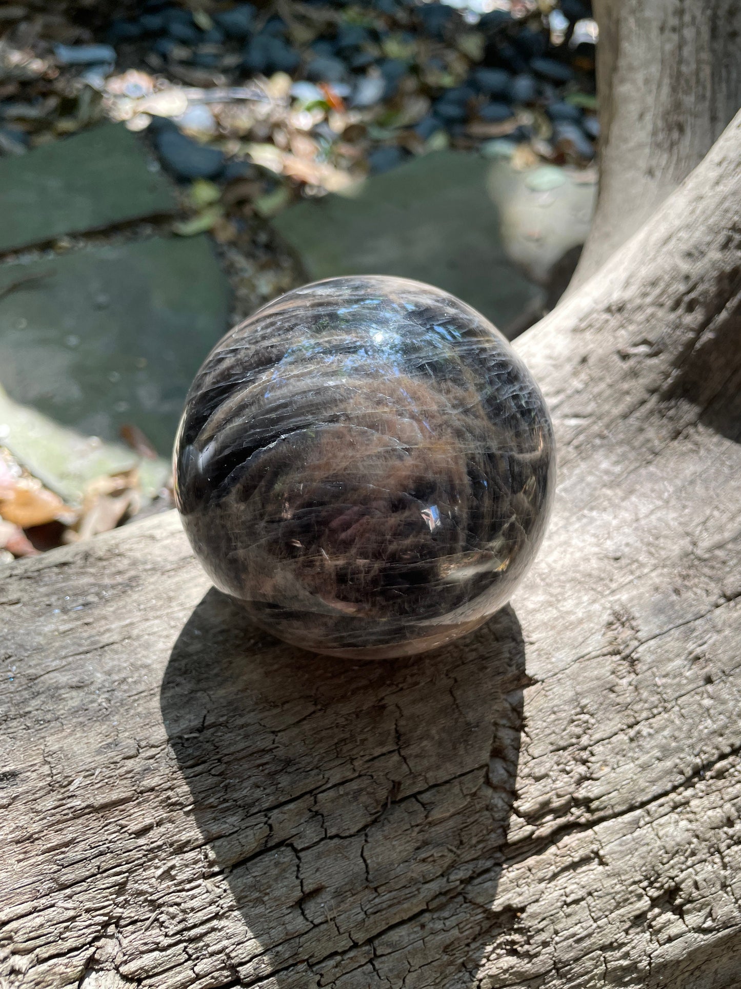Black Moonstone Sphere with Wooden Stand 82mm 3.2" 754g 1lb 10.6oz Specimen From Madagascar Display