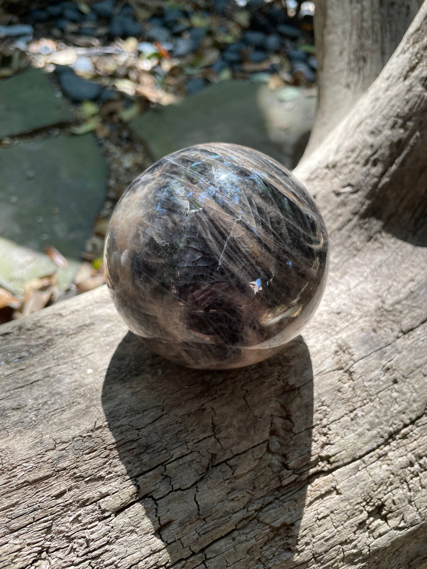 Black Moonstone Sphere with Wooden Stand 82mm 3.2" 754g 1lb 10.6oz Specimen From Madagascar Display