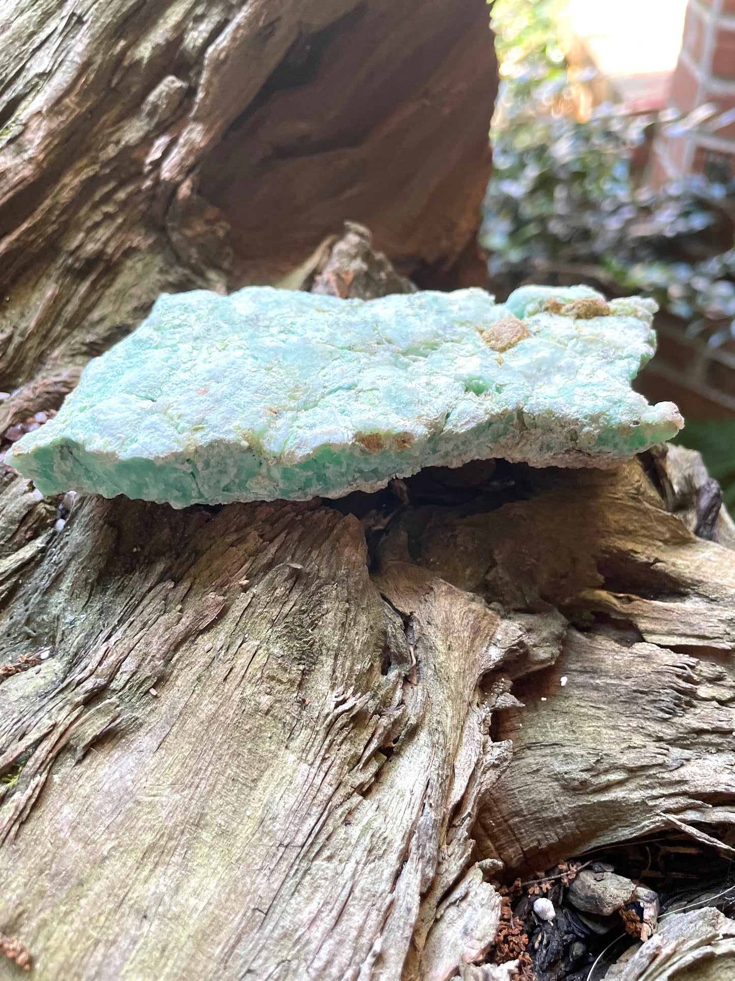Rough/Raw Blue Green Chrysophrase from Brazil New Find 172g Mineral Crystal Specimen.