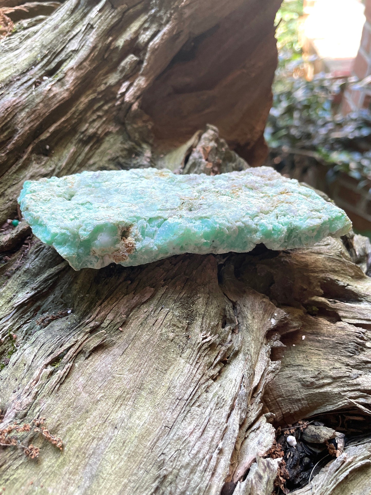 Rough/Raw Blue Green Chrysophrase from Brazil New Find 172g Mineral Crystal Specimen.