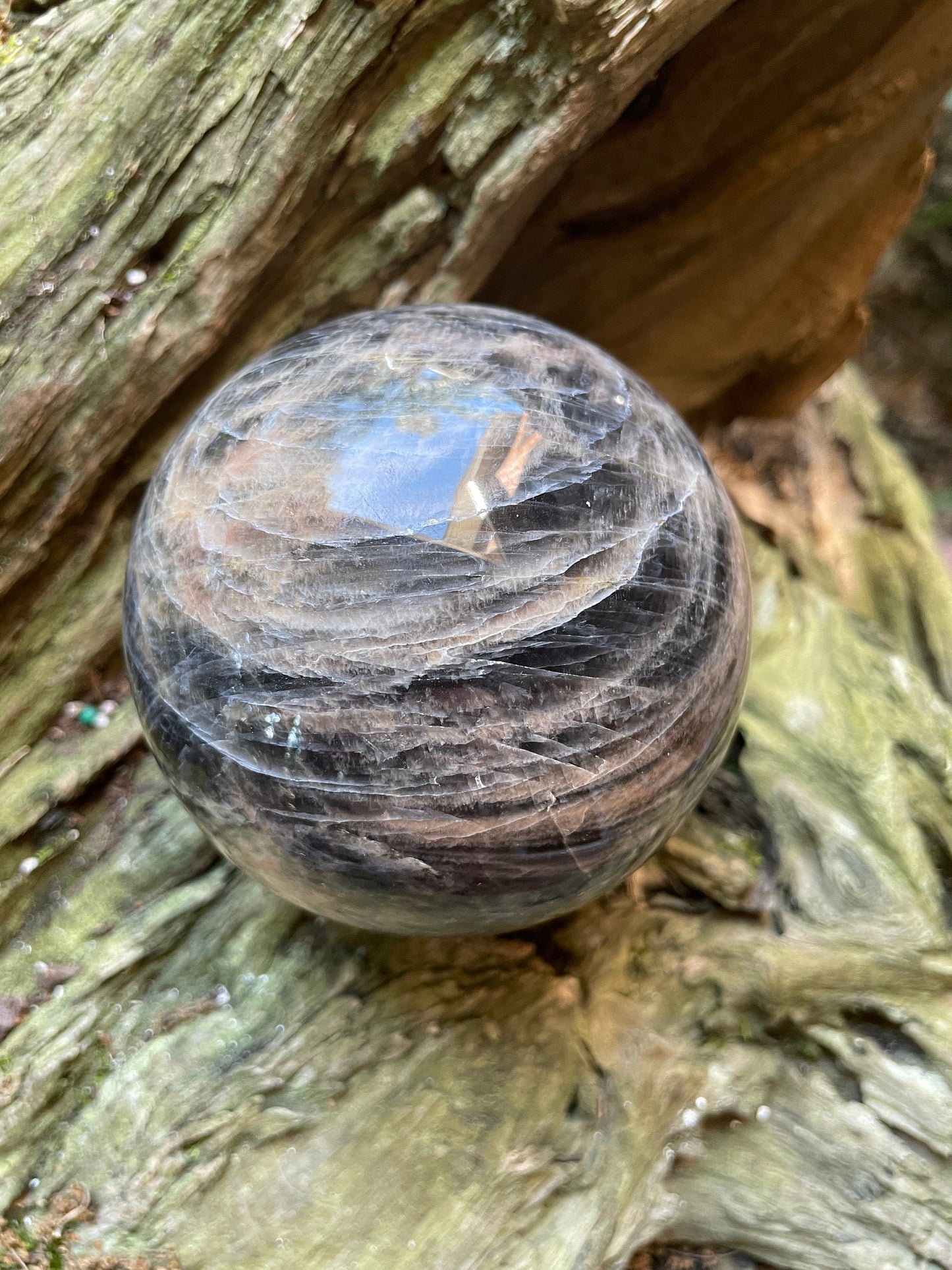 Black Moonstone Sphere with Wooden Stand 82mm 3.2" 754g 1lb 10.6oz Specimen From Madagascar Display