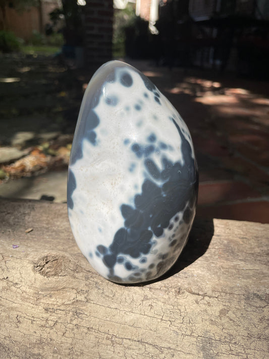 Large Natural Polished Blue Agate Quartz Free Form 1144g 2lbs 8.3oz from Madagascar Mineral Crystal