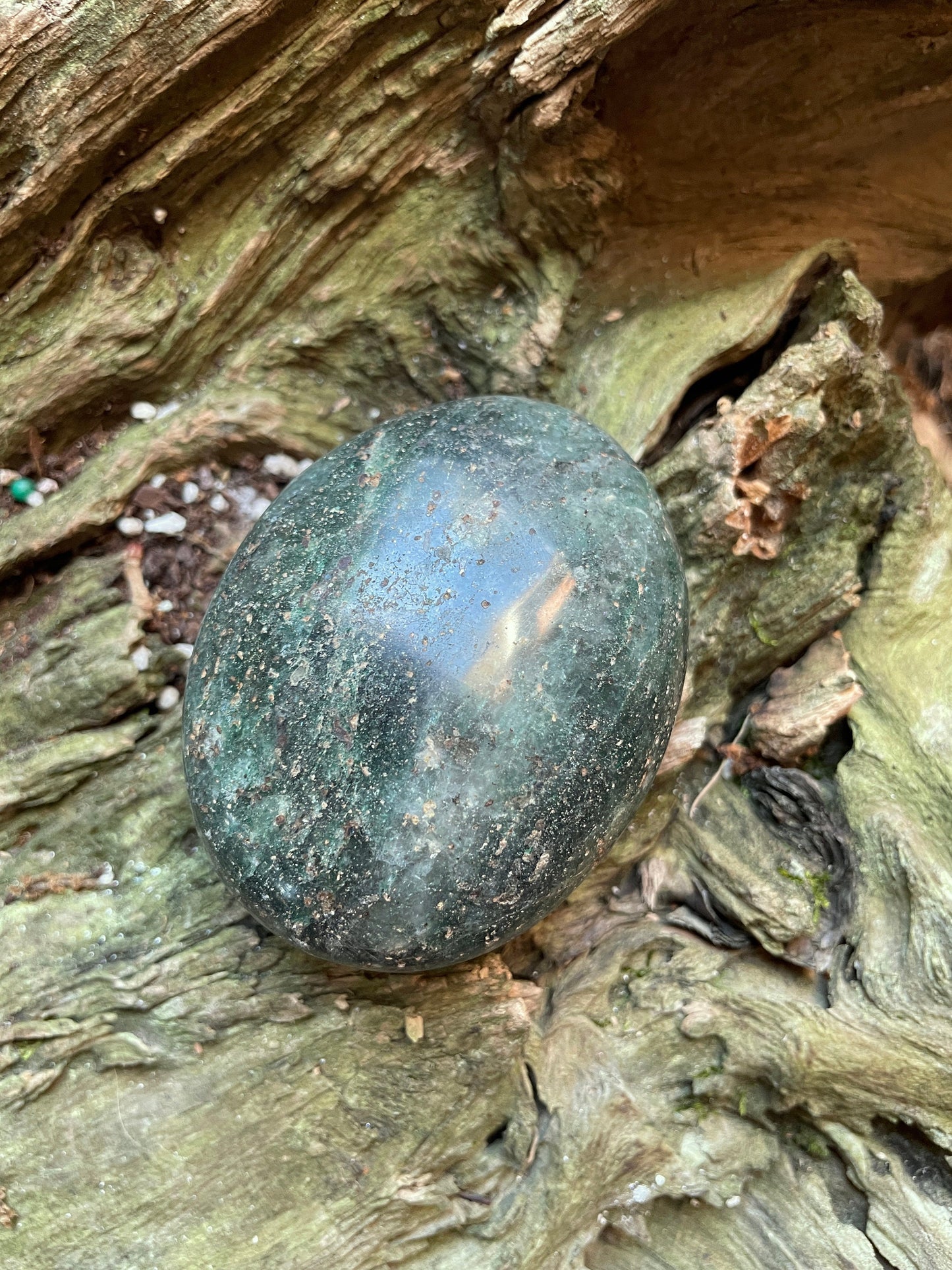 Deep Green Fuchsite palm stone 150.7g Specimen From Madagascar Crystals Minerals