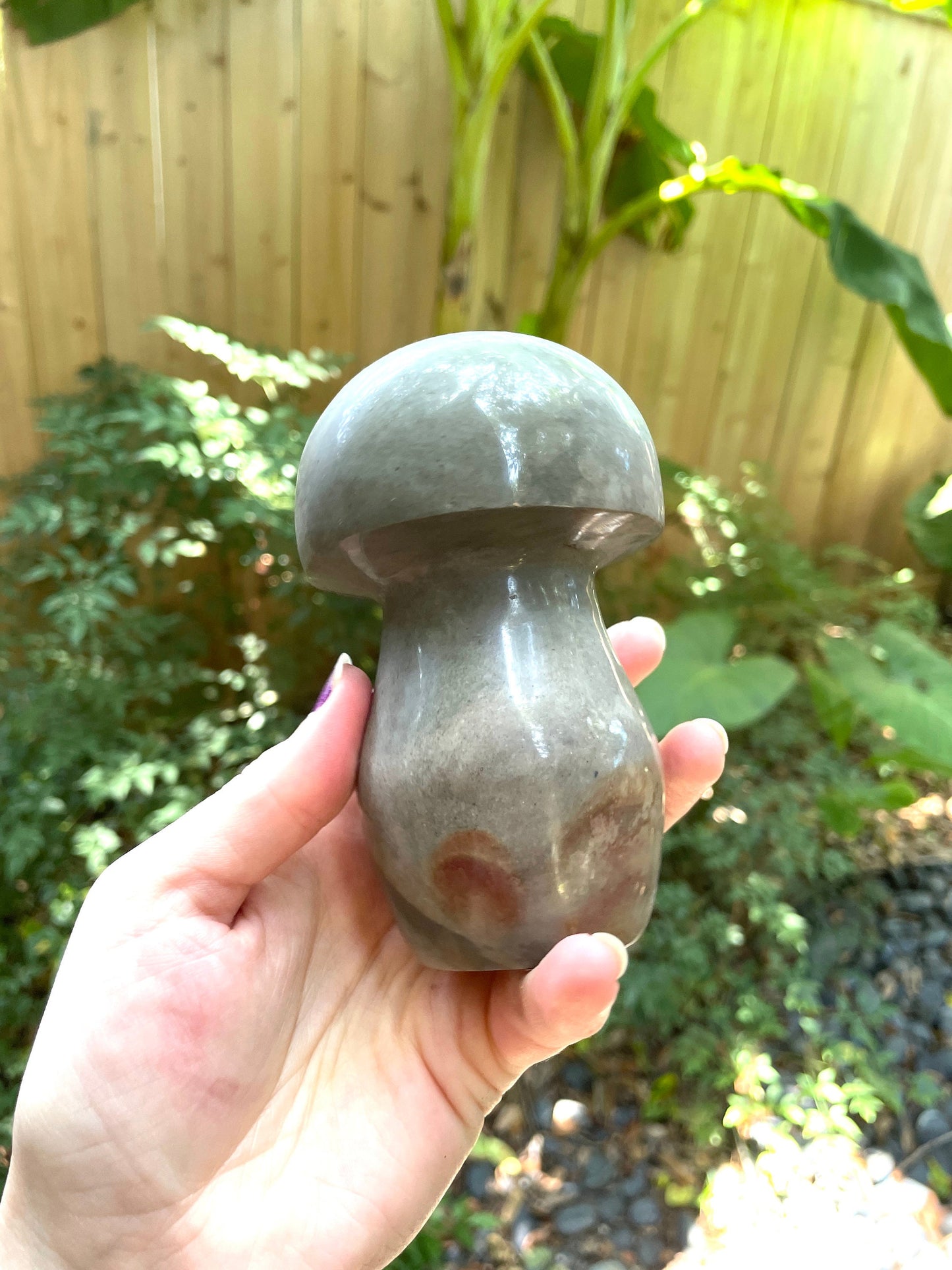 Polychrome Jasper Mushroom 734g Specimen From Madagascar Mineral Crystal