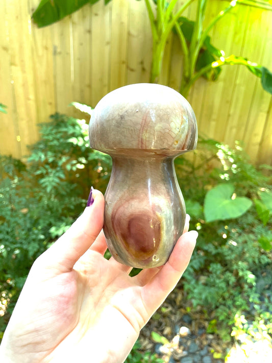 Polychrome Jasper Mushroom 734g Specimen From Madagascar Mineral Crystal