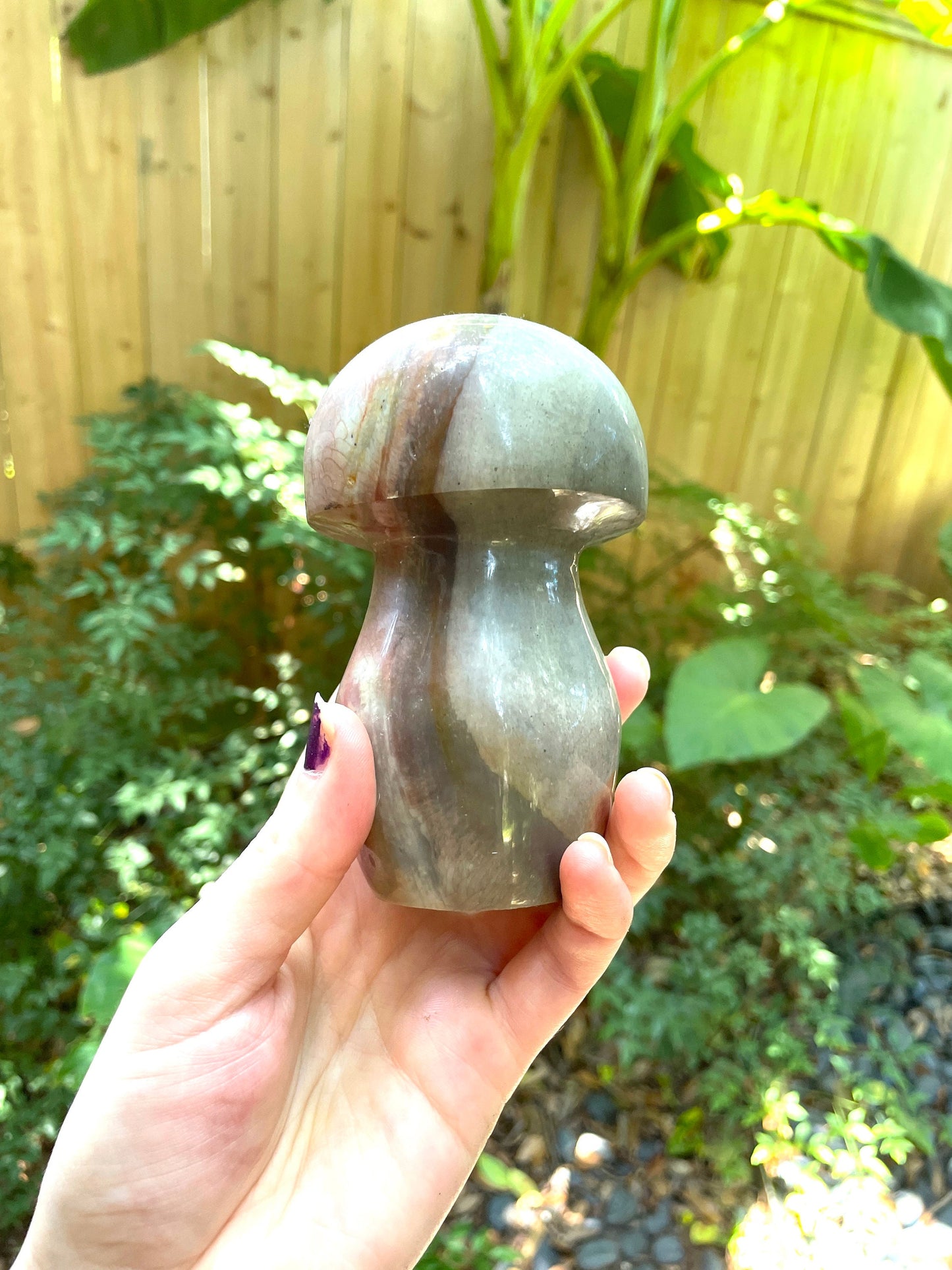 Polychrome Jasper Mushroom 734g Specimen From Madagascar Mineral Crystal