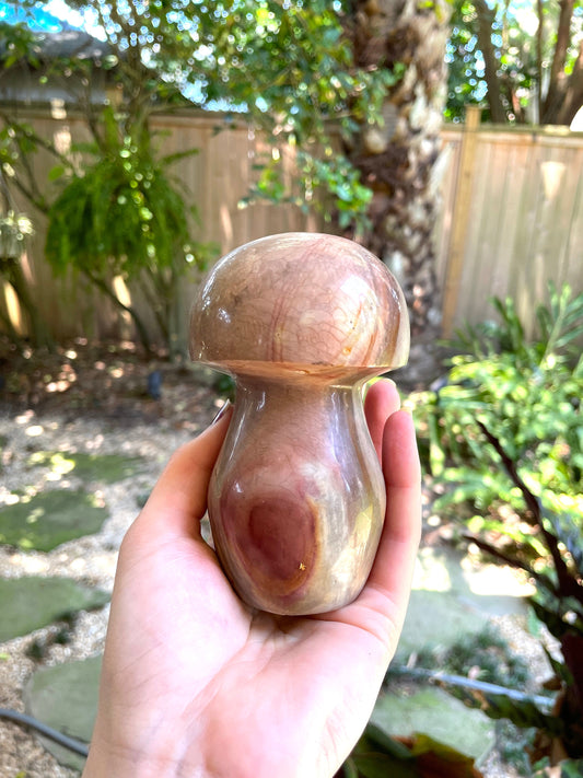 Polychrome Jasper Mushroom 734g Specimen From Madagascar Mineral Crystal