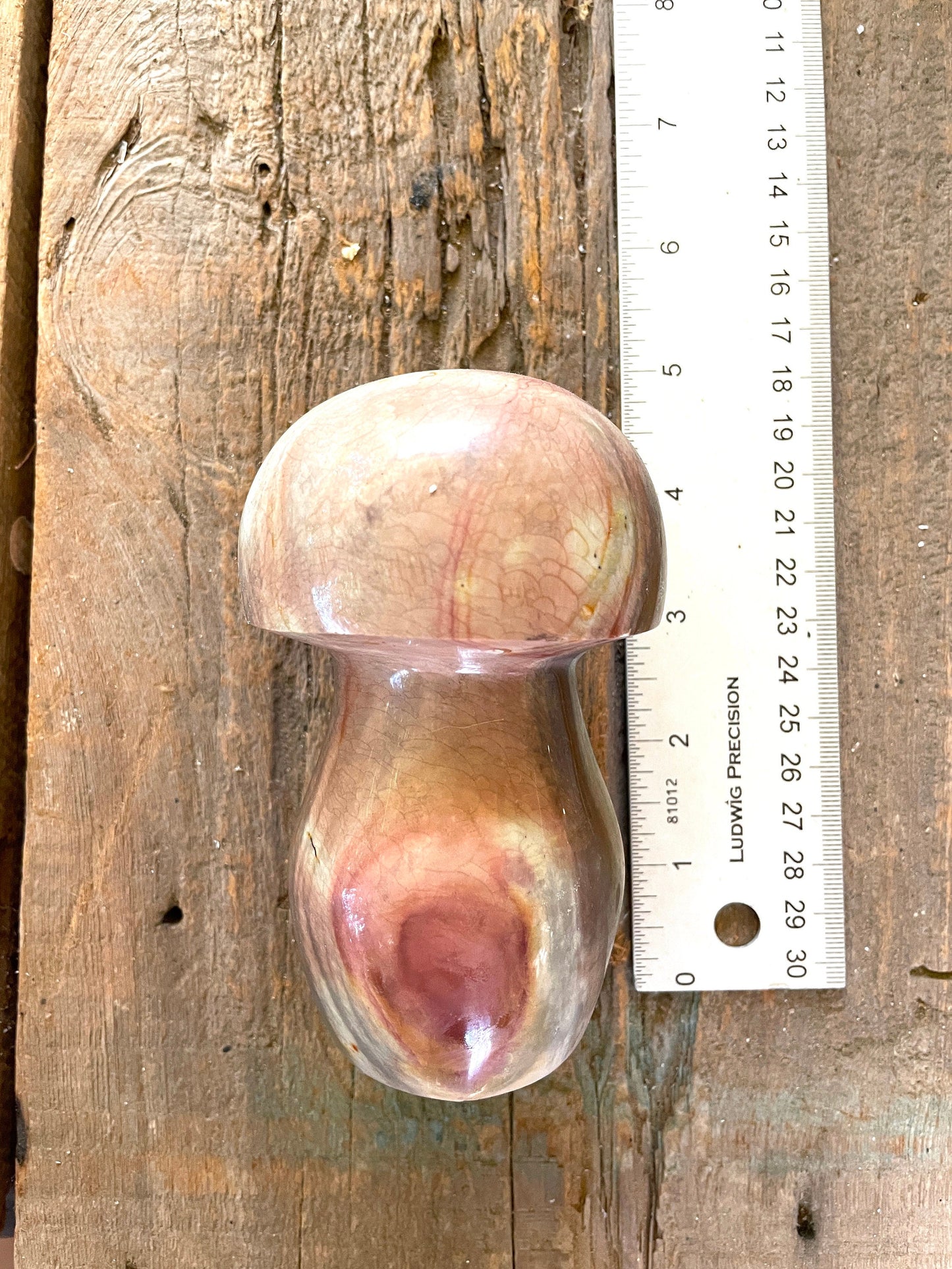 Polychrome Jasper Mushroom 734g Specimen From Madagascar Mineral Crystal