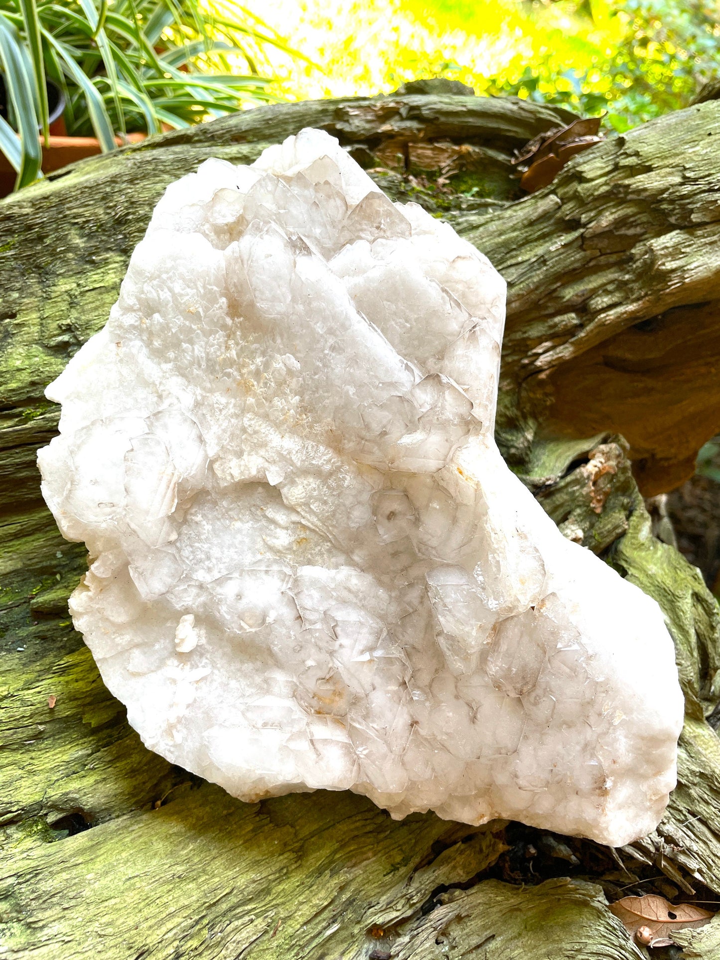 Pale Smokey Elesital Quartz Specimen from Minas Gerais Brazil, 2548g 5lbs 11oz Mineral Crystal