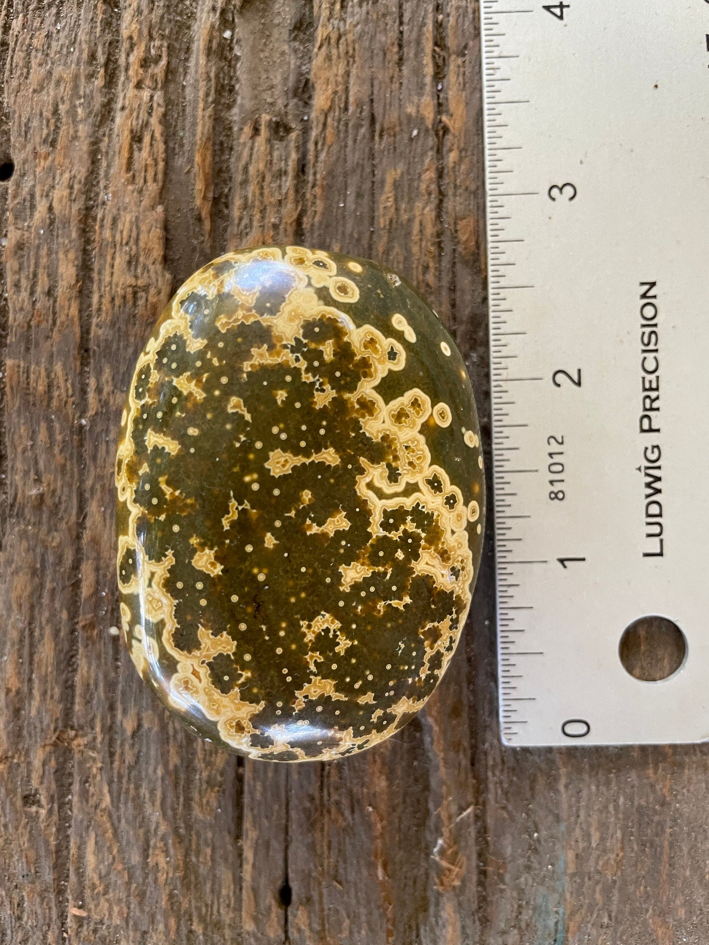 Beautiful Ocean Jasper Palm Stone 107.8g From Madagascar Mineral Crystal