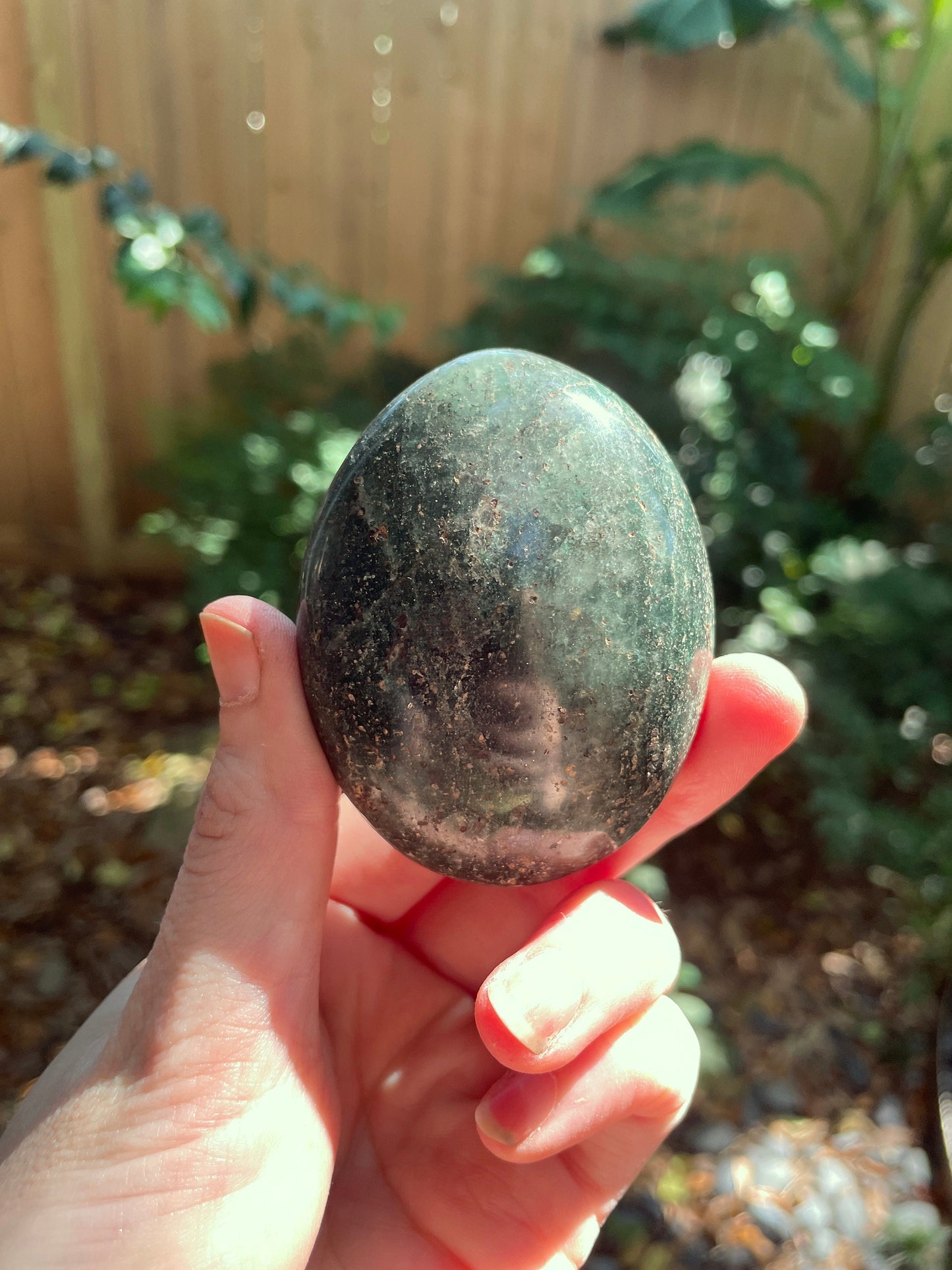 Deep Green Fuchsite palm stone 150.7g Specimen From Madagascar Crystals Minerals