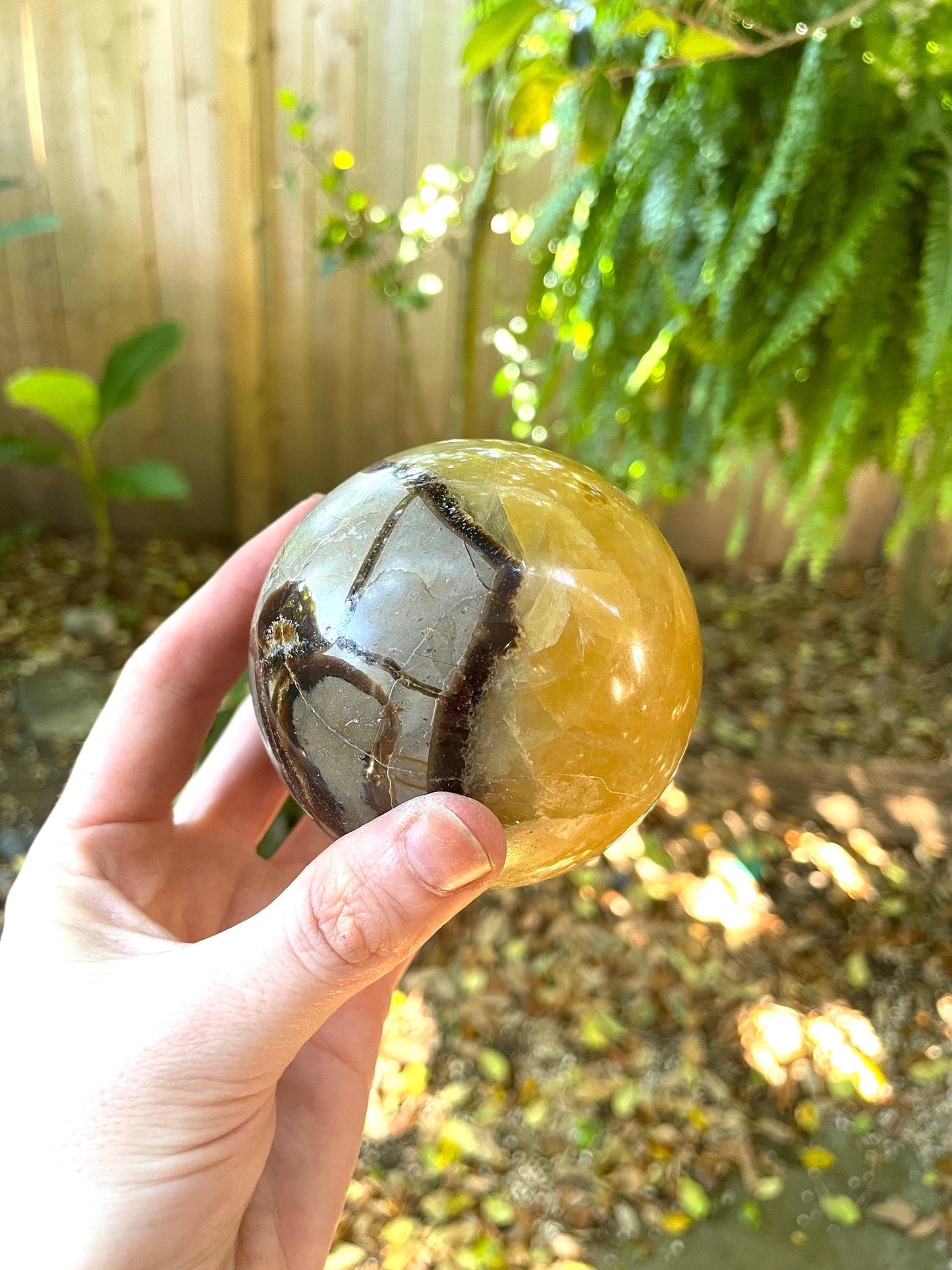 Lovely Septarian Calcite Polished Sphere With Stand Madagascar 80mm 3.1" 668g Specimen