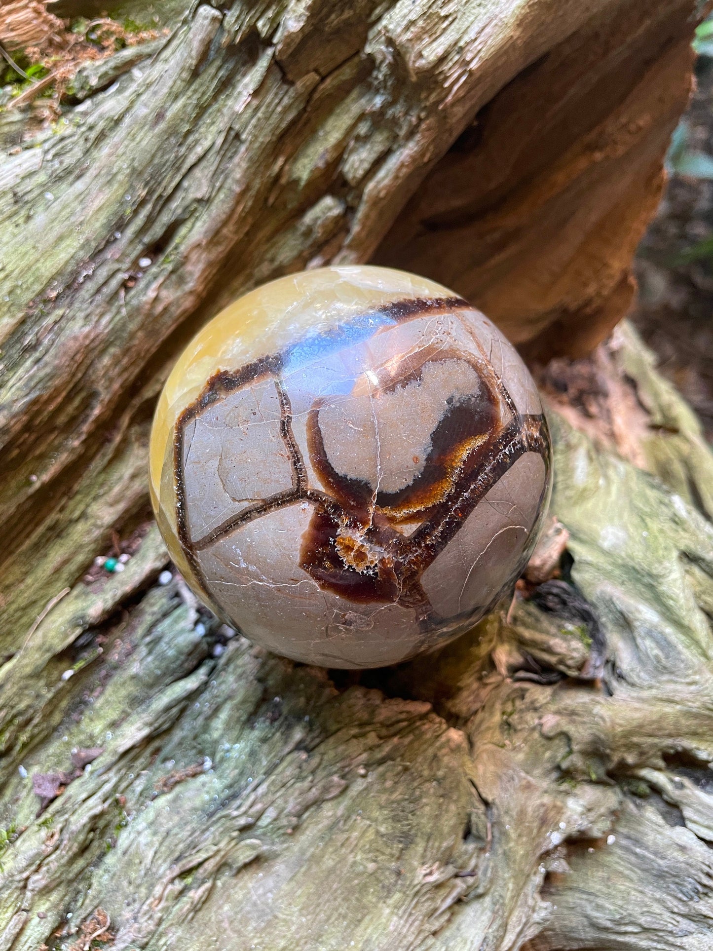 Lovely Septarian Calcite Polished Sphere With Stand Madagascar 80mm 3.1" 668g Specimen
