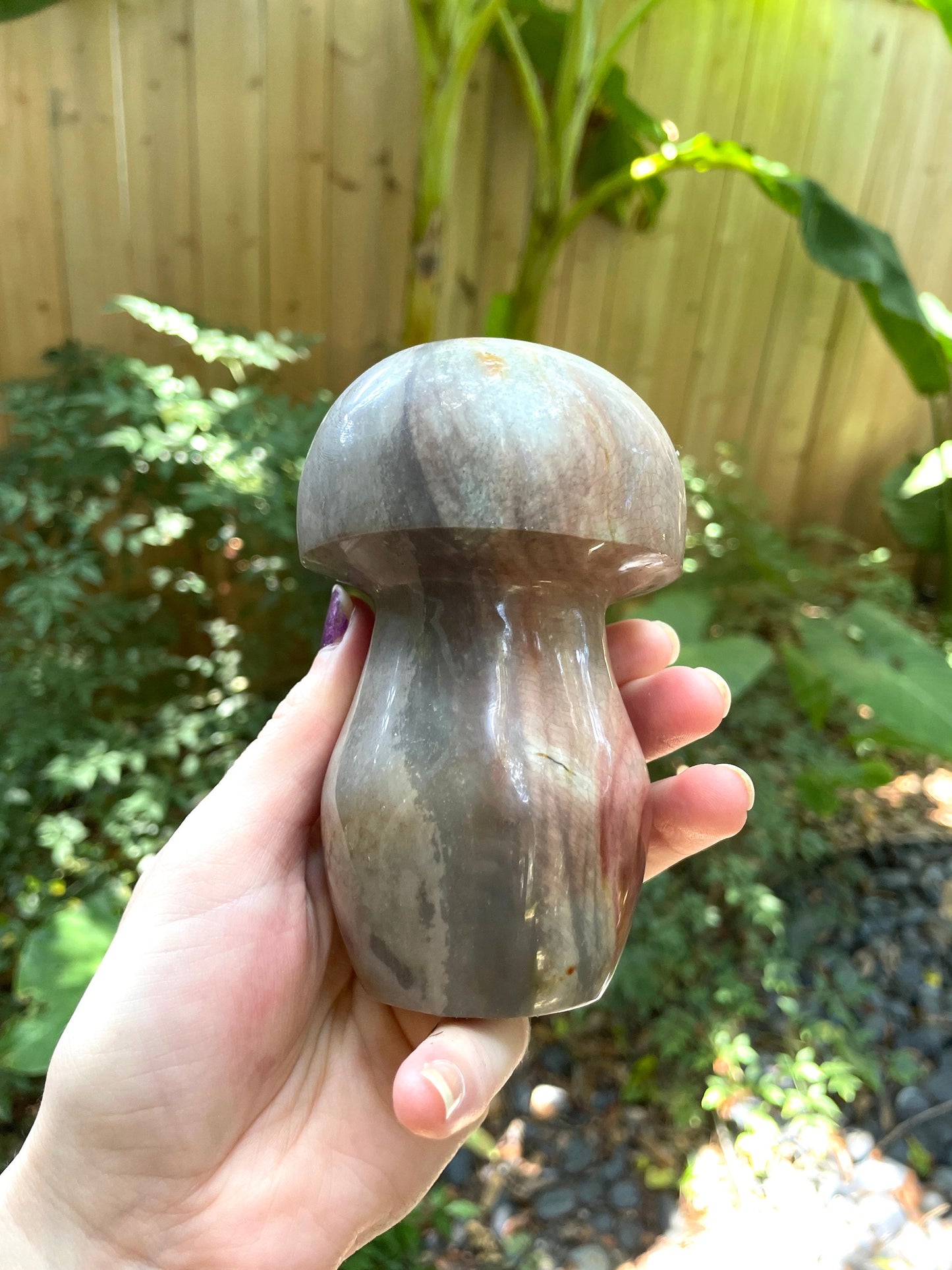 Polychrome Jasper Mushroom 734g Specimen From Madagascar Mineral Crystal