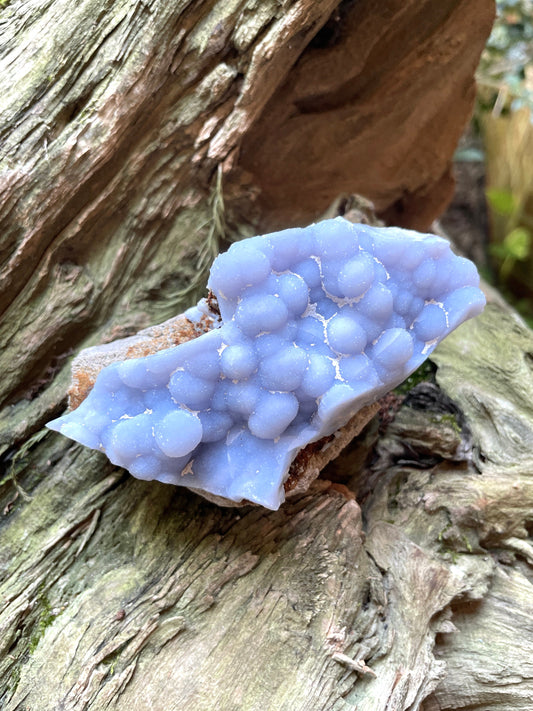 Blue Botryoidal Chalcedony Specimen 202.3g from Moquengua Near Puno, Peru Mineral Crystal