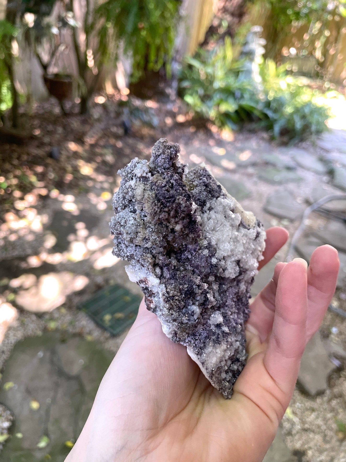 Purple Fluorite and Selenite Specimen from, Chihuahna, Mexico 294g Specimen Mineral Crystal