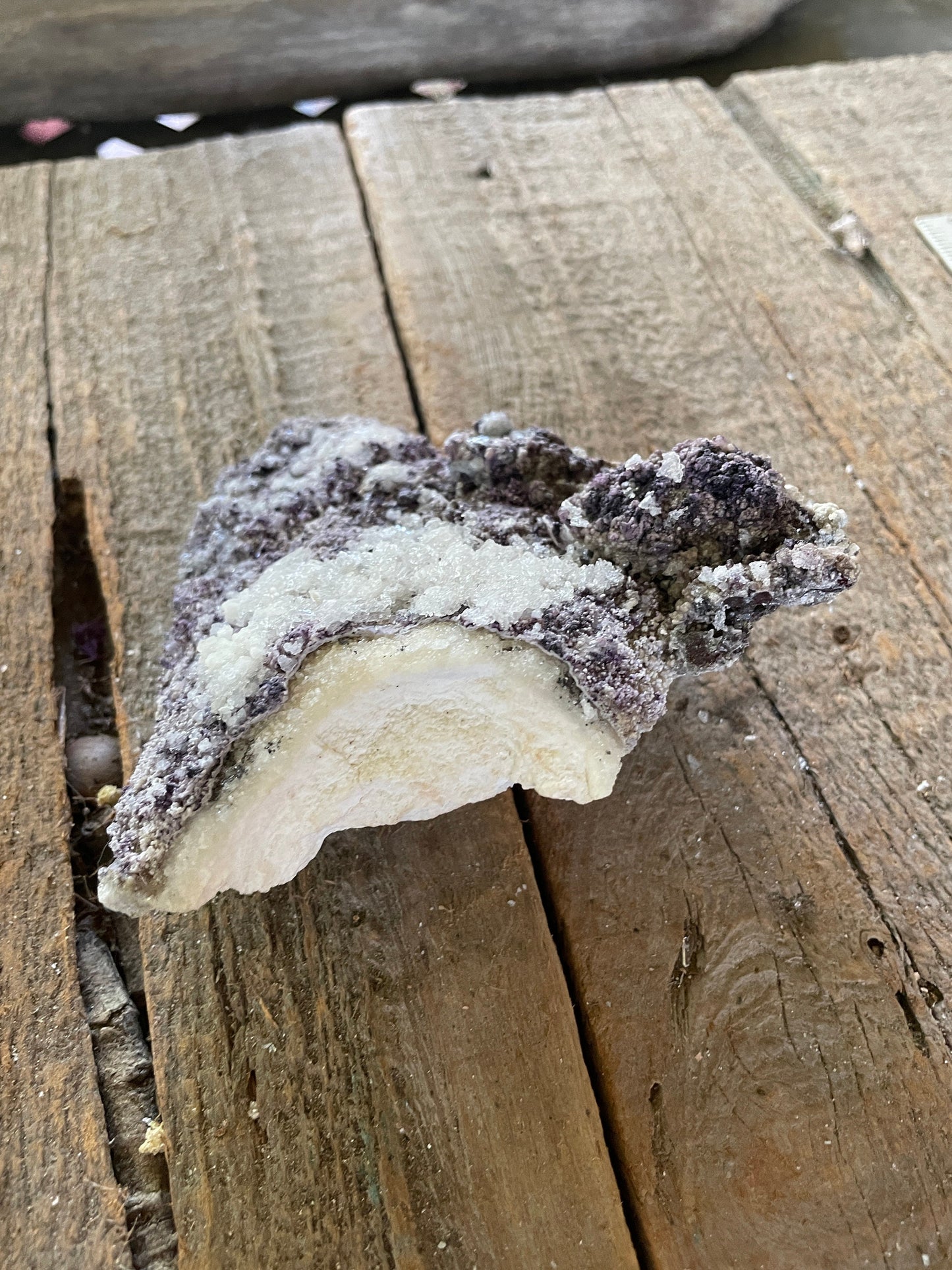 Purple Fluorite and Selenite Specimen from, Chihuahna, Mexico 294g Specimen Mineral Crystal