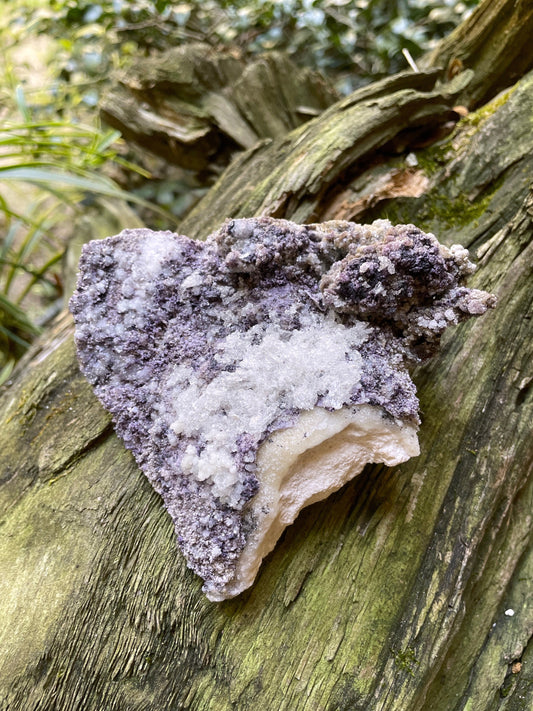 Purple Fluorite and Selenite Specimen from, Chihuahna, Mexico 294g Specimen Mineral Crystal