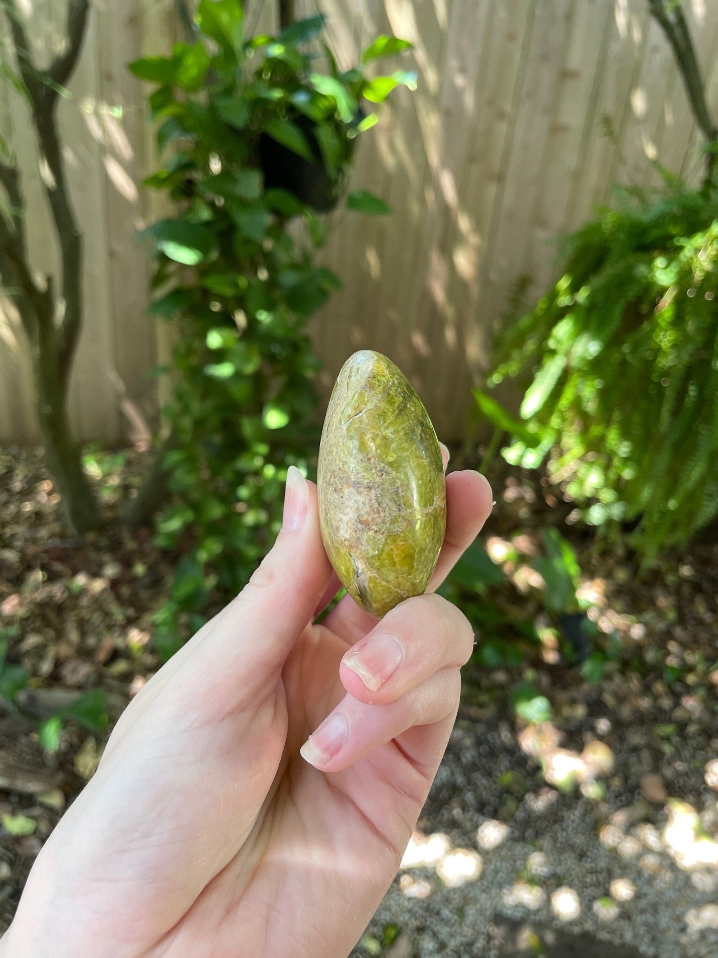 Polished Green Opal Palm Stone From Madagascar, Specimen 125.5g Mineral Crystal