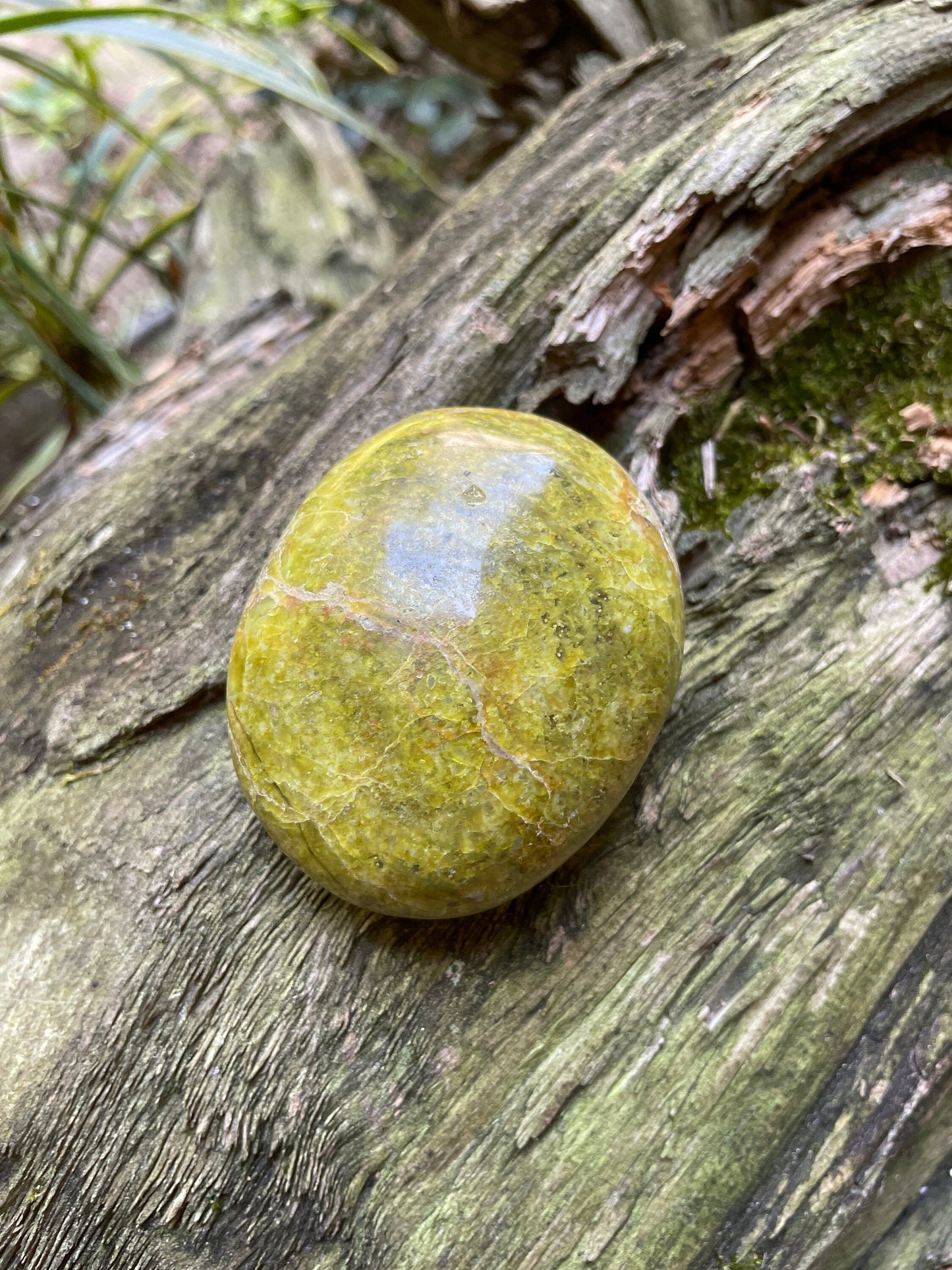 Polished Green Opal Palm Stone From Madagascar, Specimen 125.5g Mineral Crystal