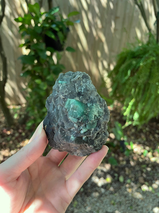 Emerald in the matrix from Brazil 272.3g Specimen Crystal Mineral