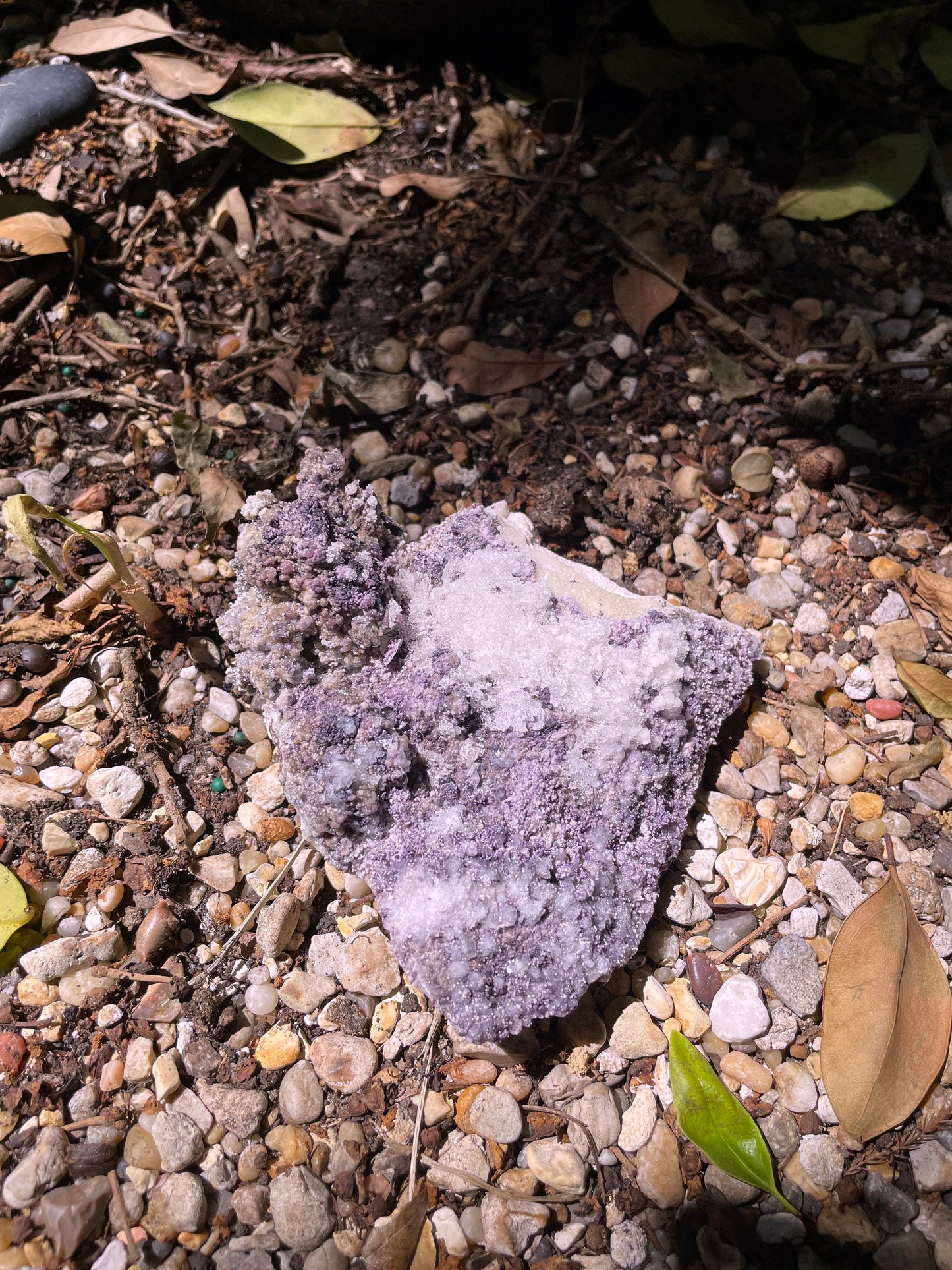 Purple Fluorite and Selenite Specimen from, Chihuahna, Mexico 294g Specimen Mineral Crystal