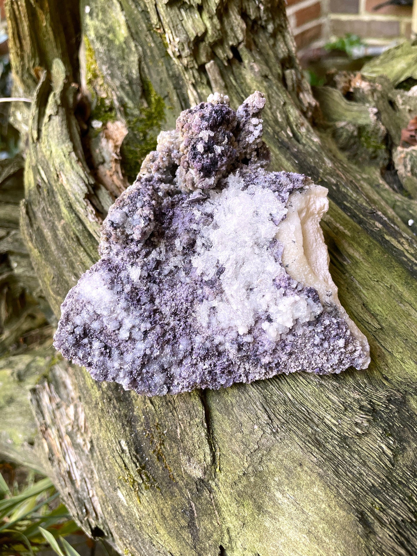 Purple Fluorite and Selenite Specimen from, Chihuahna, Mexico 294g Specimen Mineral Crystal