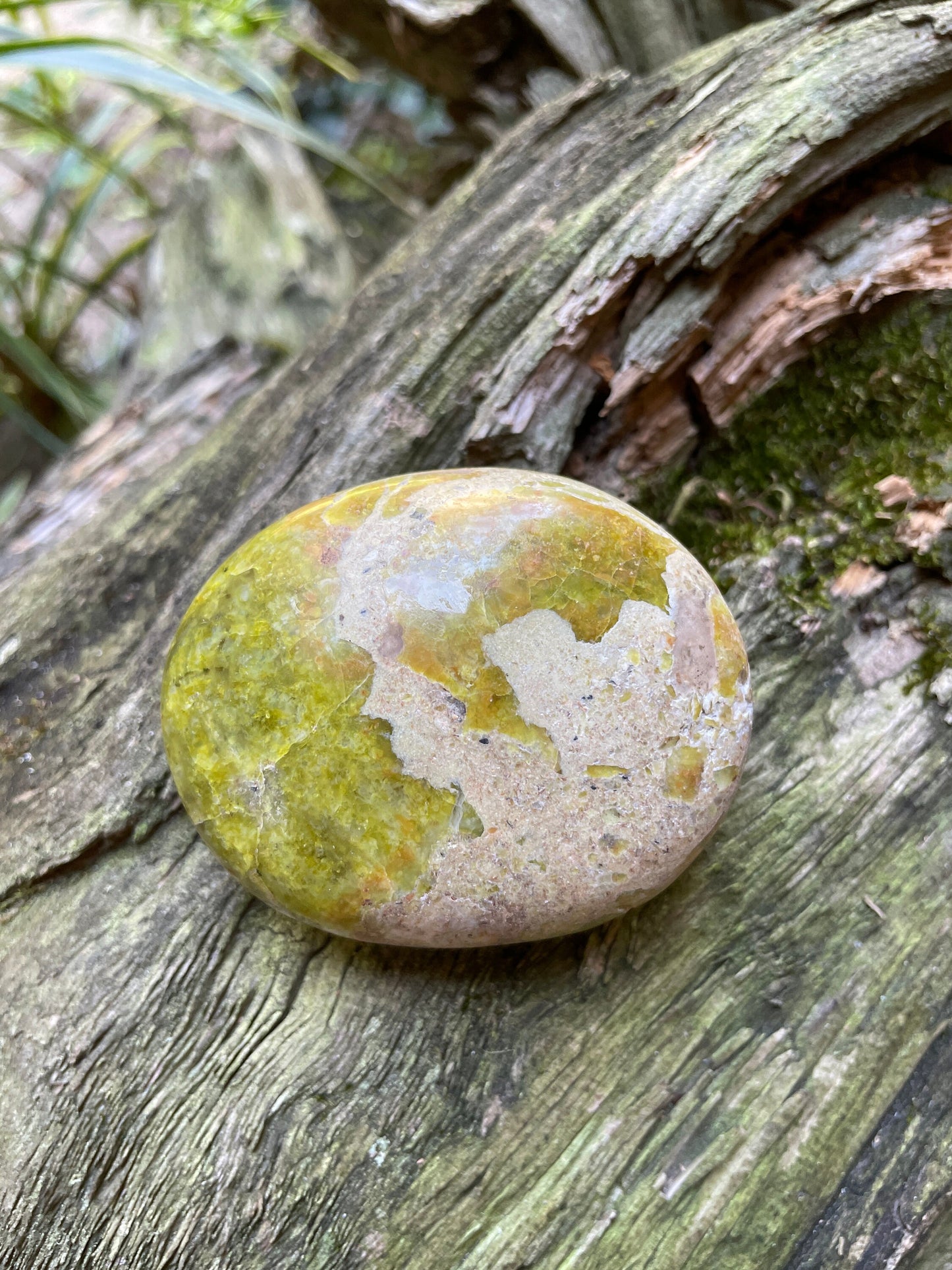 Polished Green Opal Palm Stone From Madagascar, Specimen 125.5g Mineral Crystal