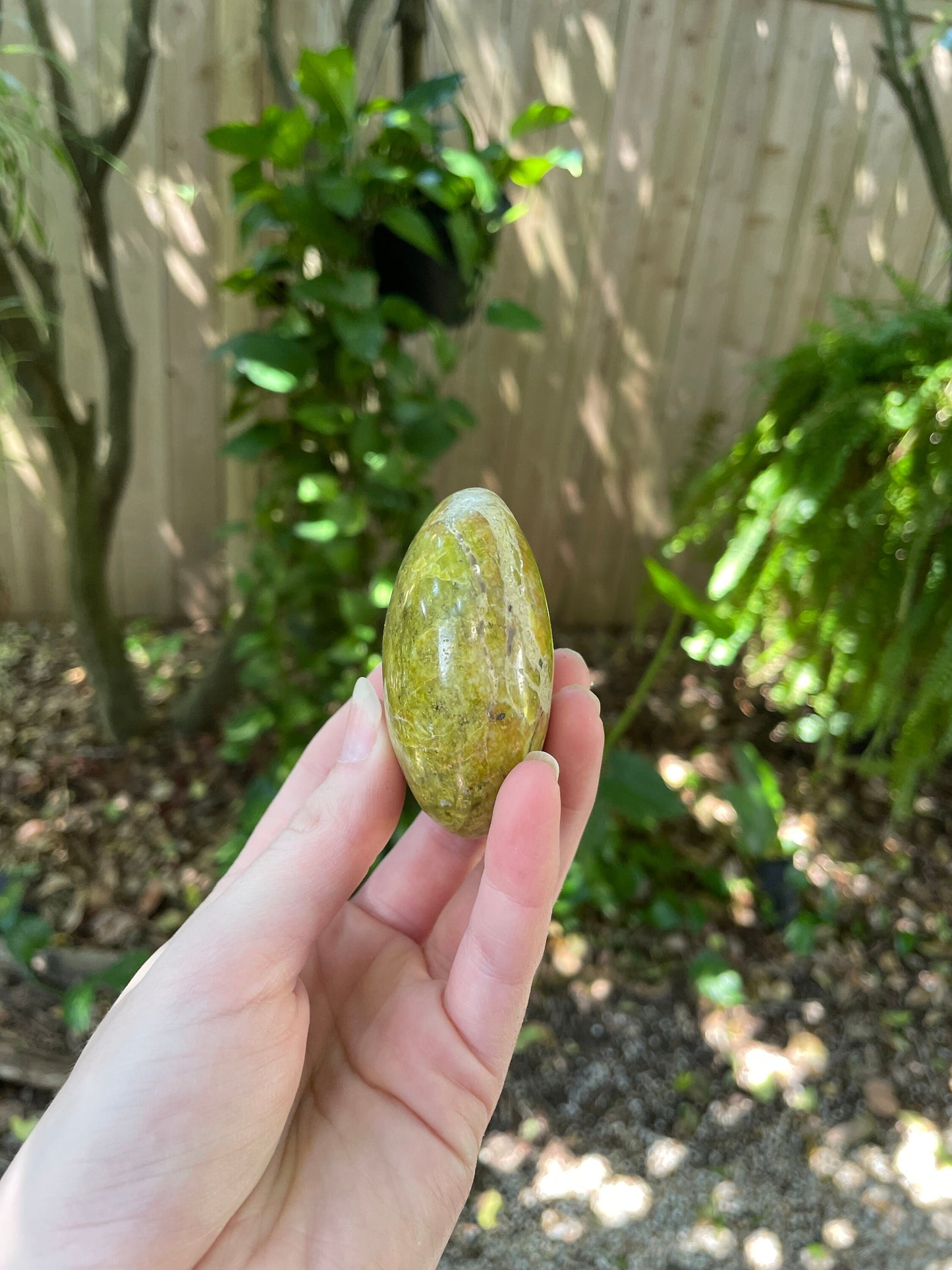 Polished Green Opal Palm Stone From Madagascar, Specimen 125.5g Mineral Crystal