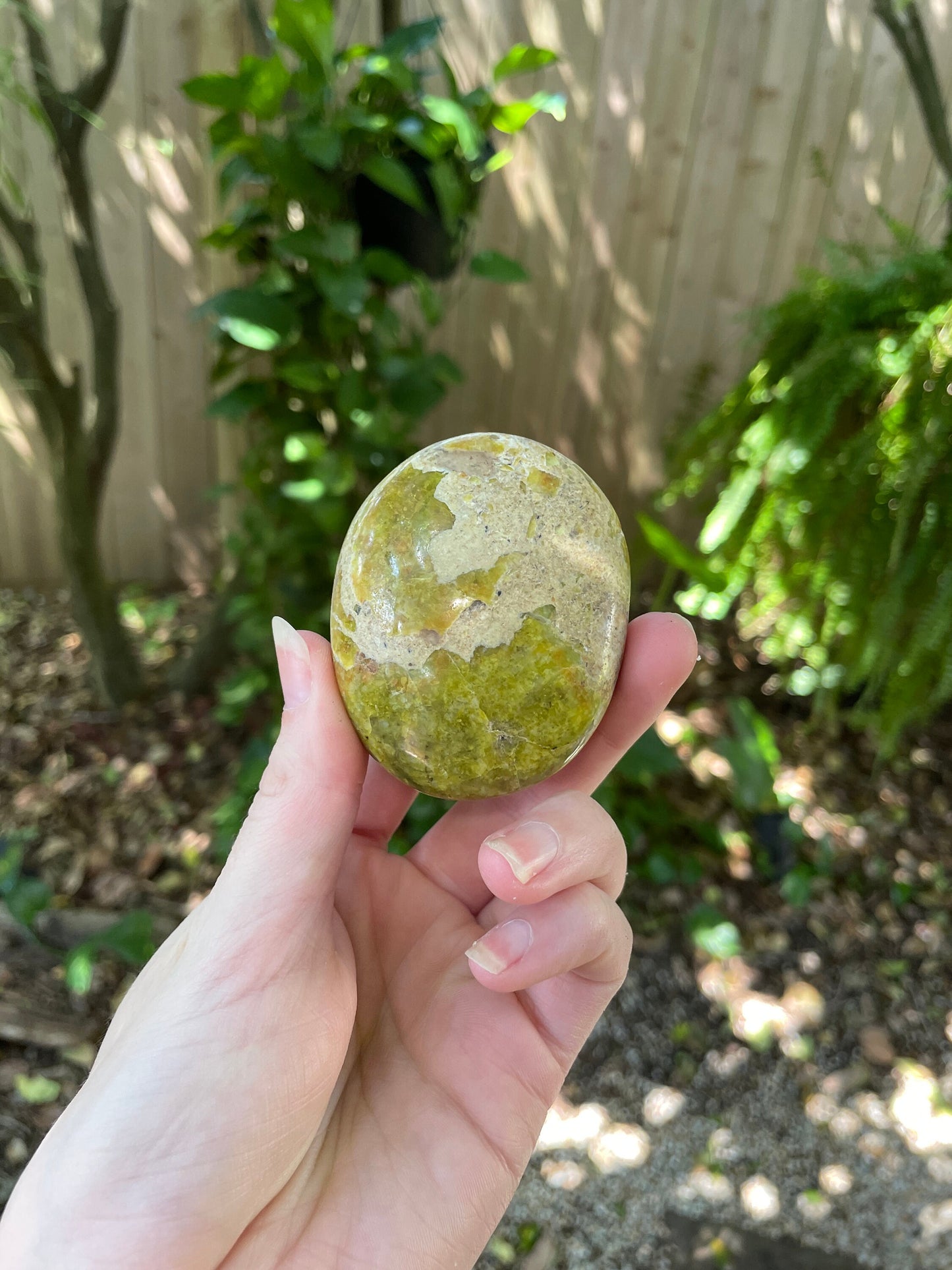 Polished Green Opal Palm Stone From Madagascar, Specimen 125.5g Mineral Crystal