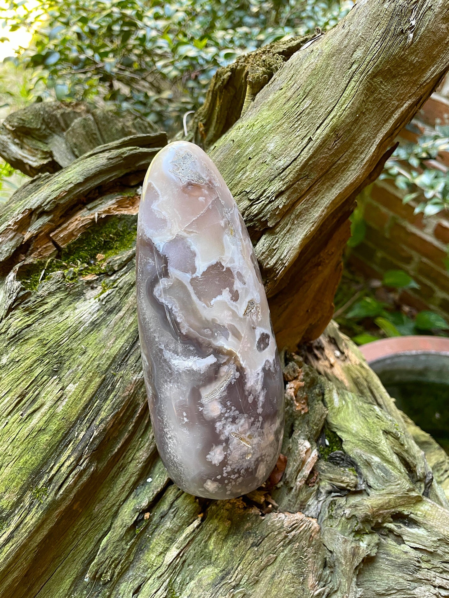 Flower Agate chalcedony Free Form Specimen 988g 2lbs 2.8oz from Madagascar Mineral Crystal See Details