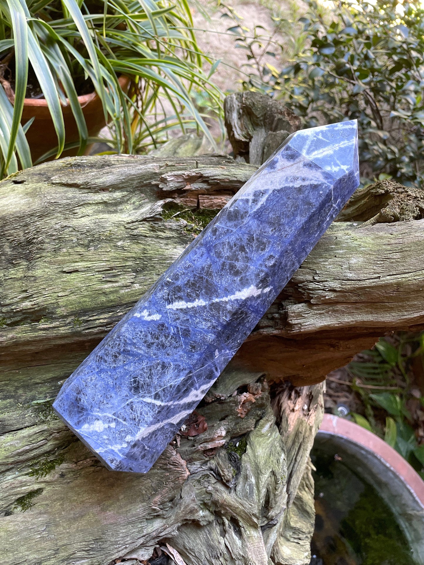 XL Blue Sodalite Polished Crystal Point Specimen 1.83kg 4lbs 0.7oz From Brazil Mineral Crystals