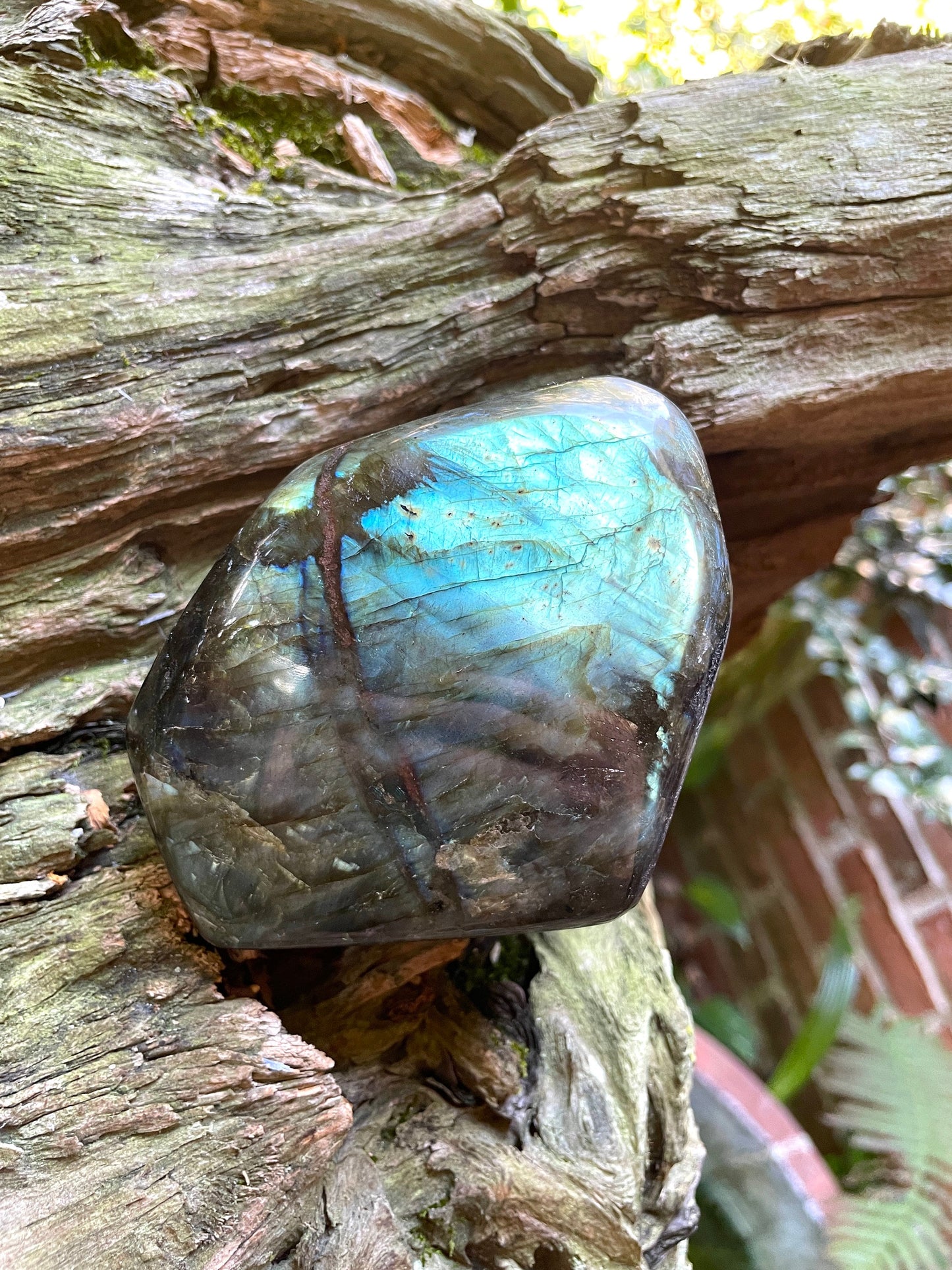 Polished Labradorite Freestanding Display Stone 850g 1lb 14oz Specimen With Great Flash Mineral Crystal
