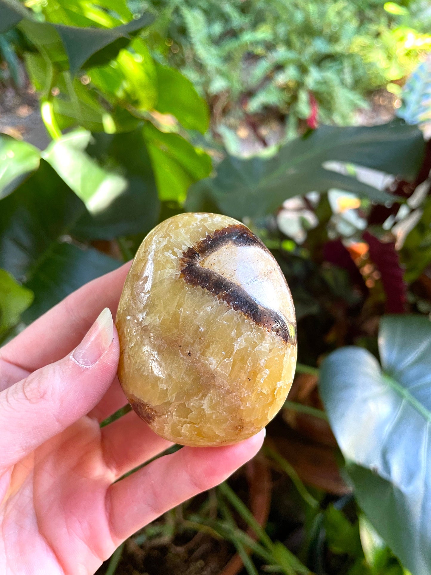 Lovely Septarian Calcite Palm Stone Madagascar 167.5g Specimen